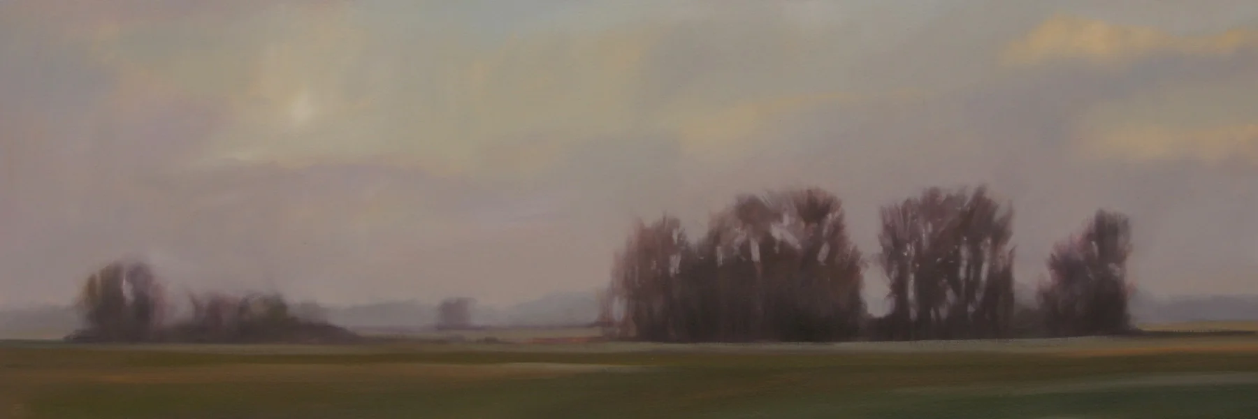 Early Spring Fields, 20x60 inches