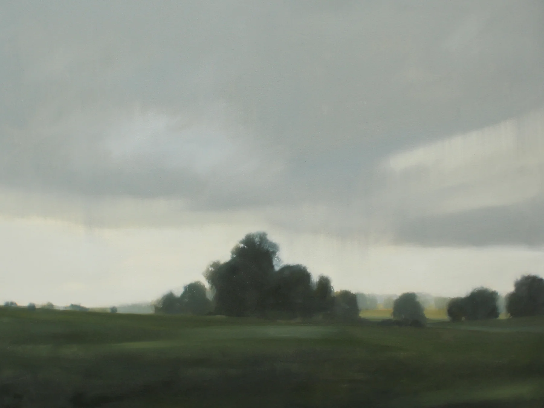 Shadow Fields, 36x48 inches