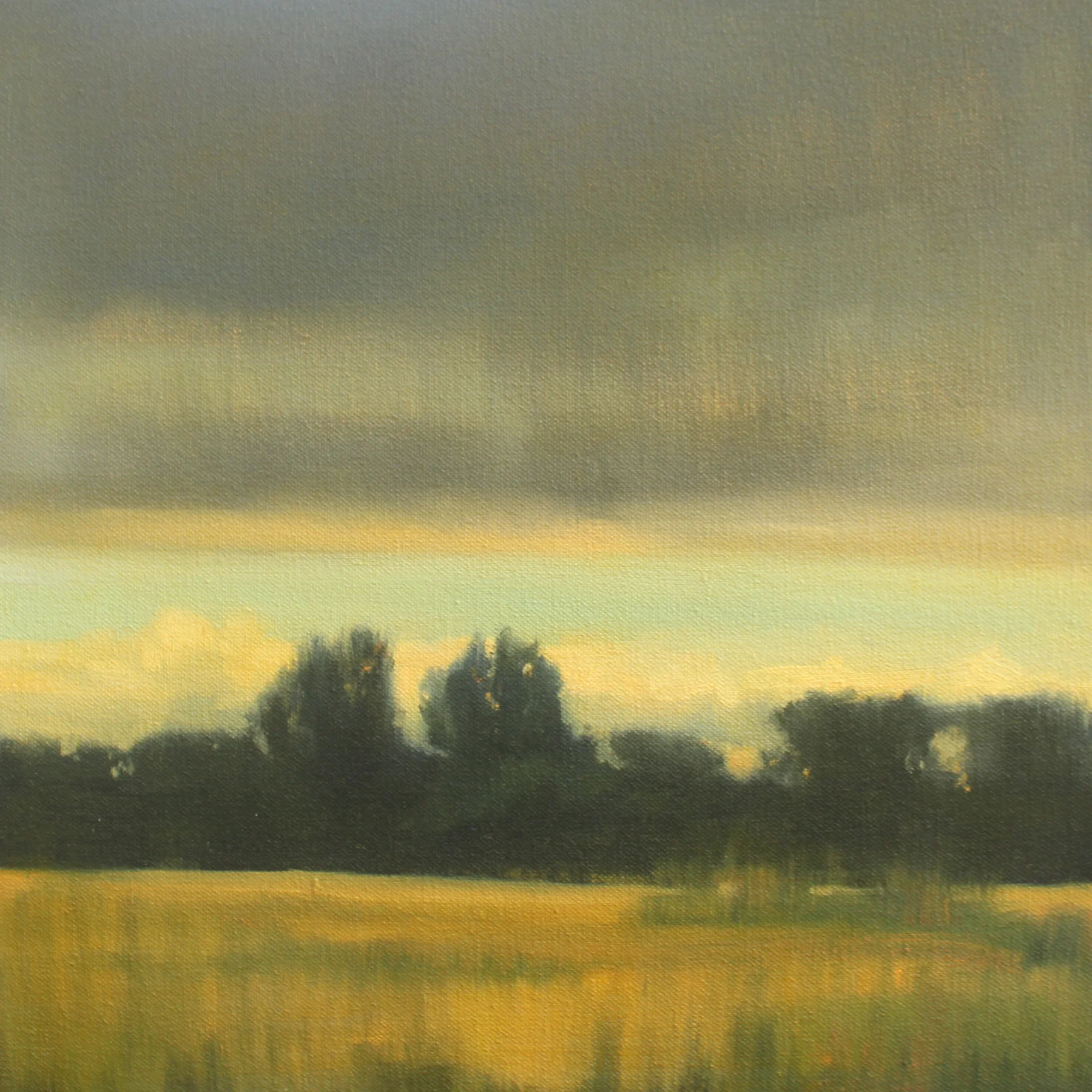 Changing Wind Study, 12x12 inches