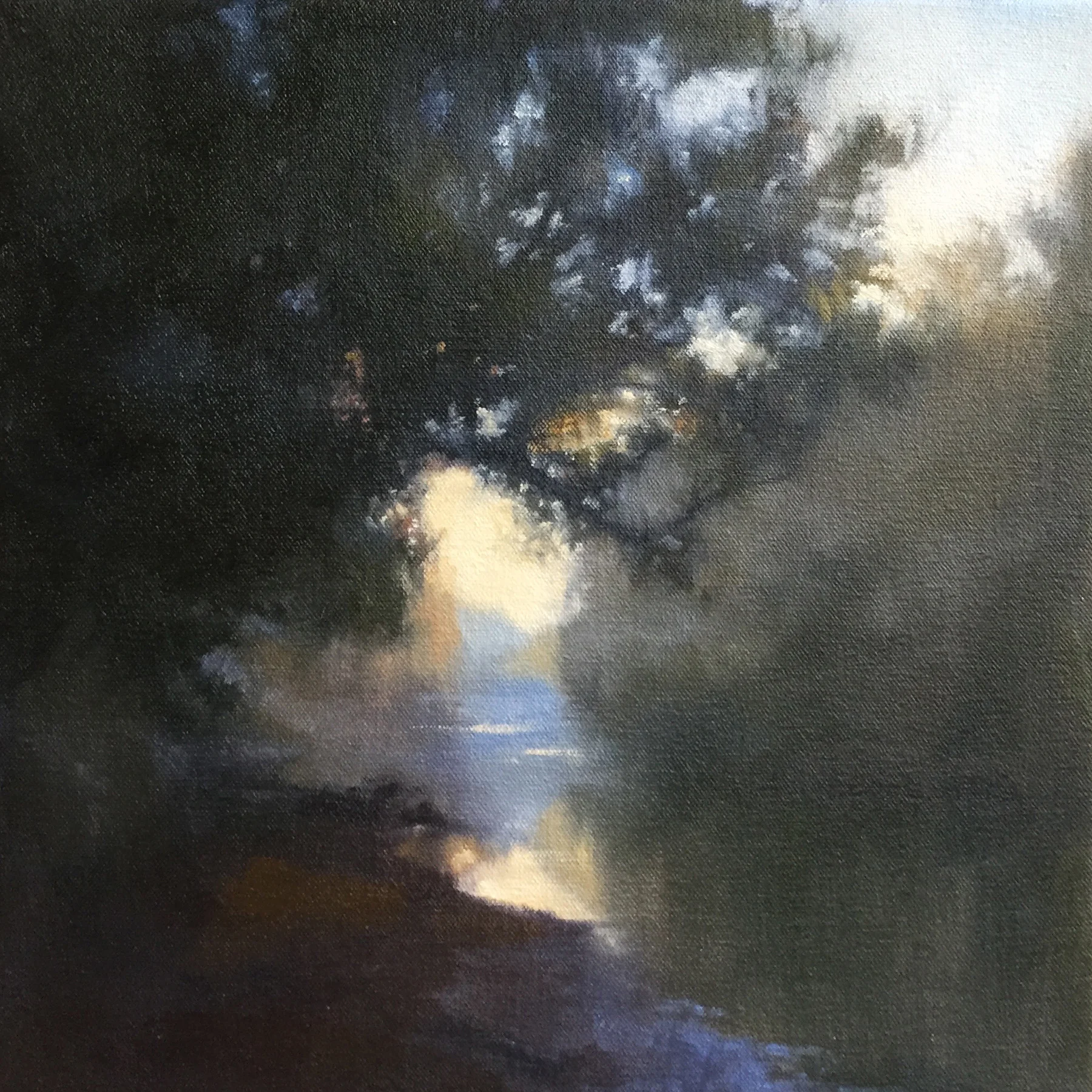 Stones River Sunrise (Study), 12x12 inches