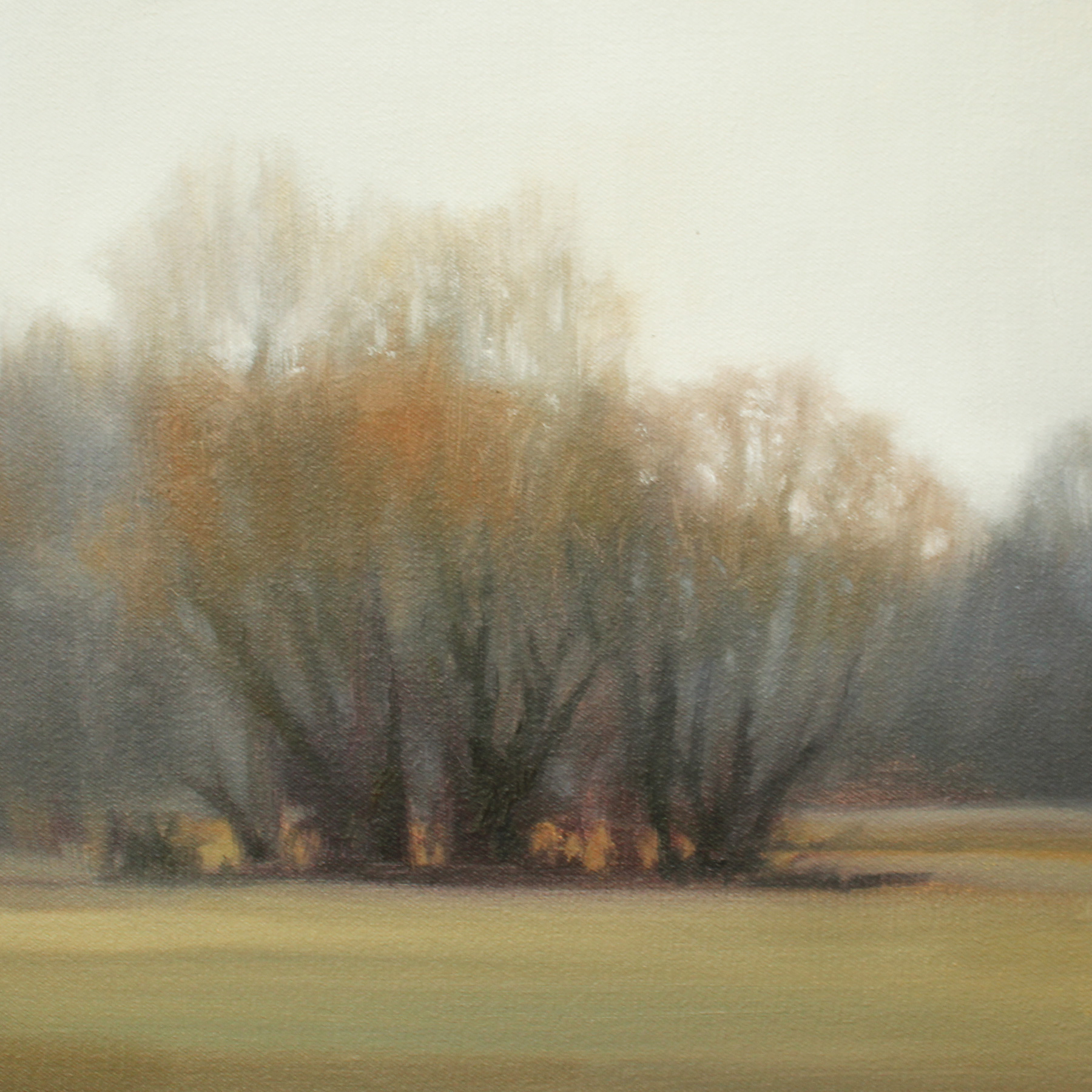 Dormant Field (Study) 12x12 inches