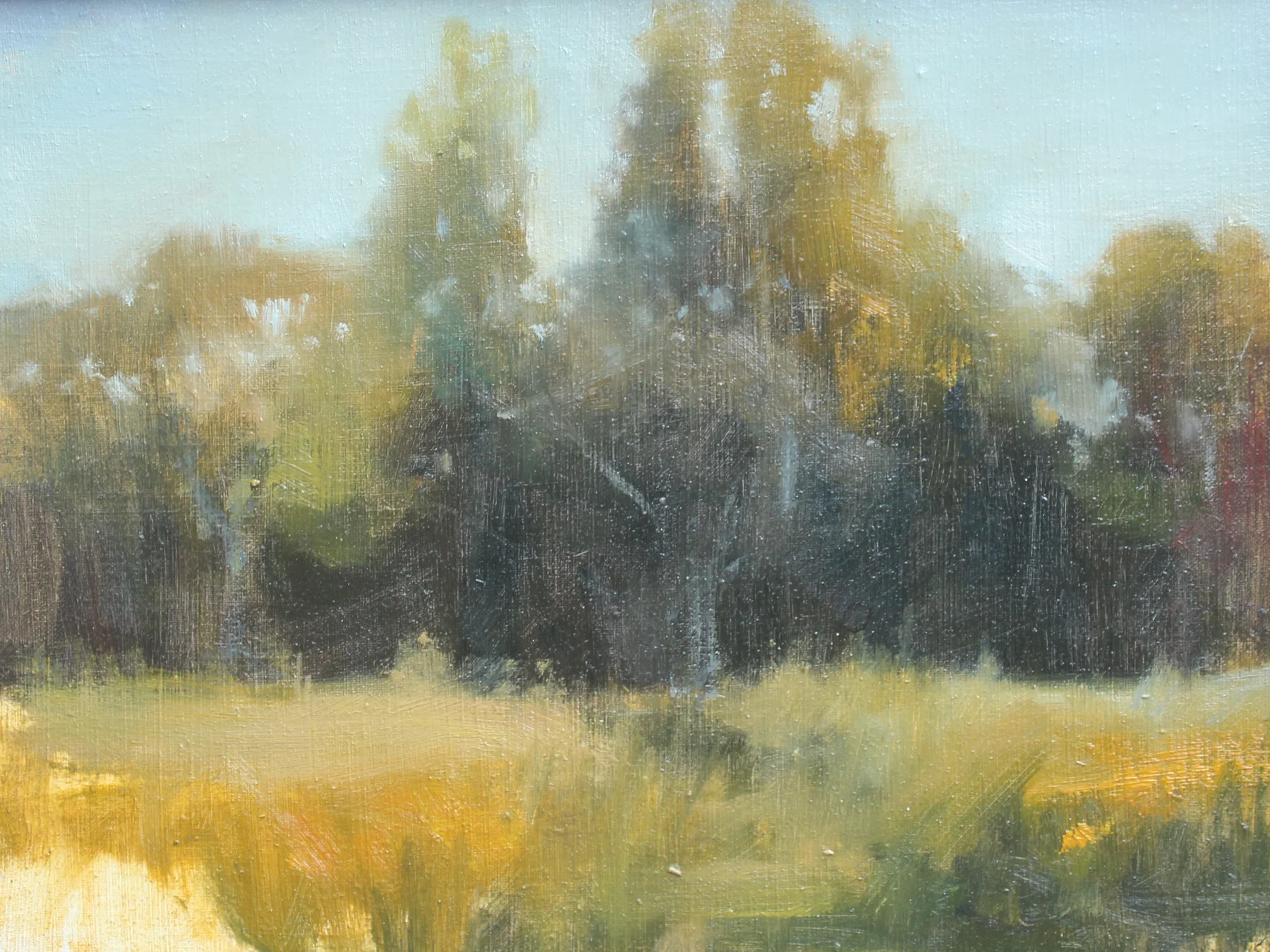 autumn_field_study.jpg