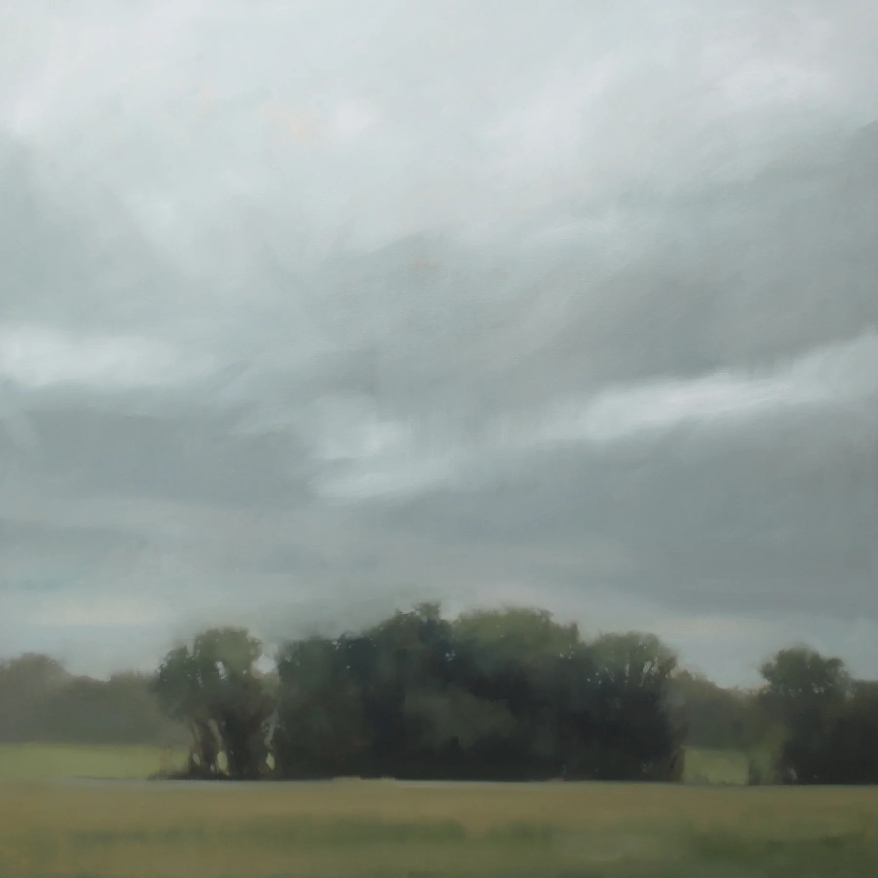 Quiet Field, 48x48 inches