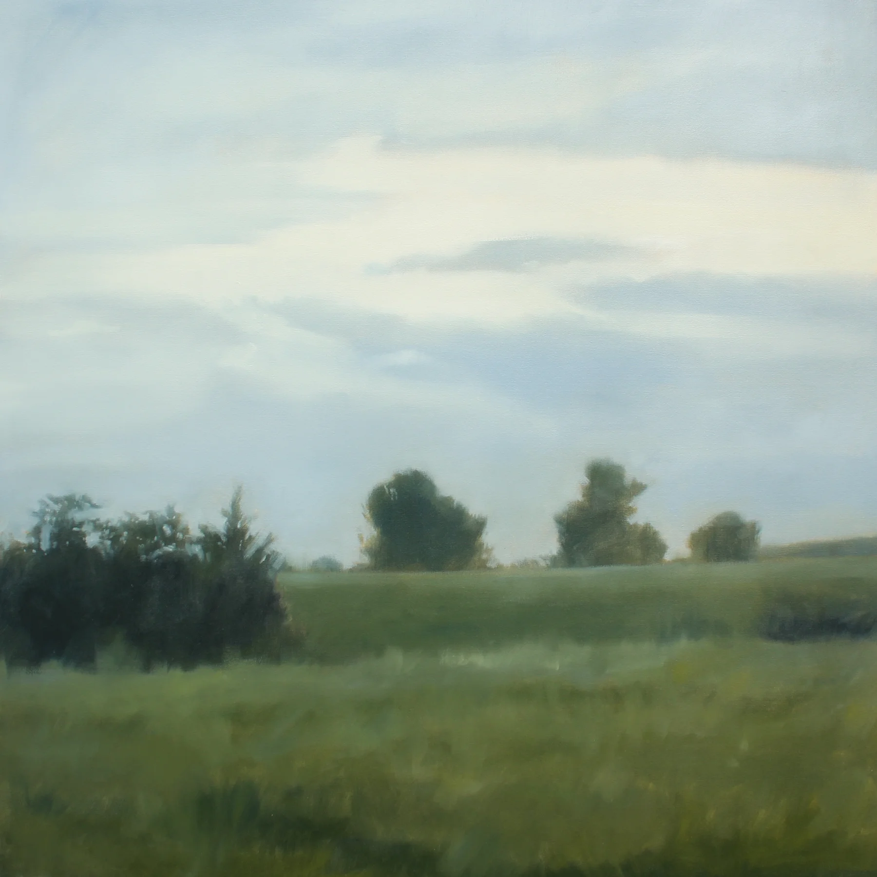 Rolling Meadow, 48x48 inches