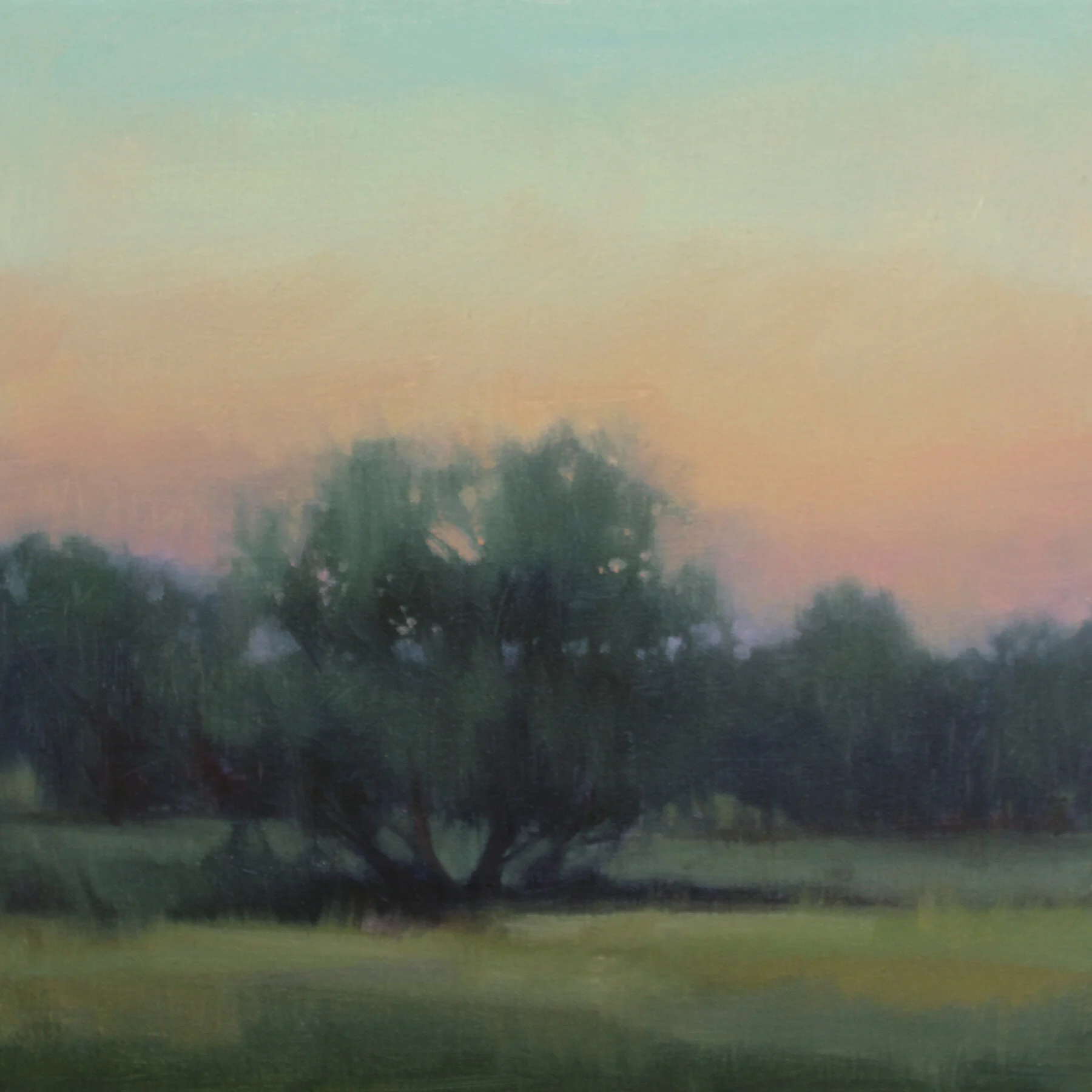 Evening Grove (Study), 12x12 inches