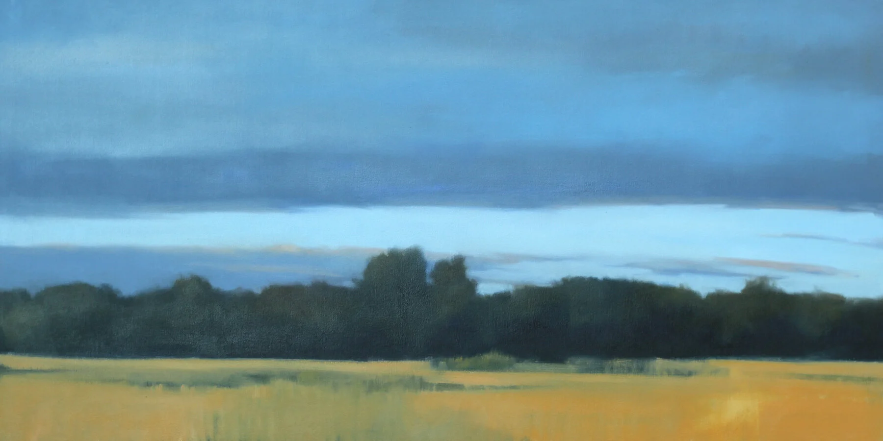 Golden Field, 24x48 inches