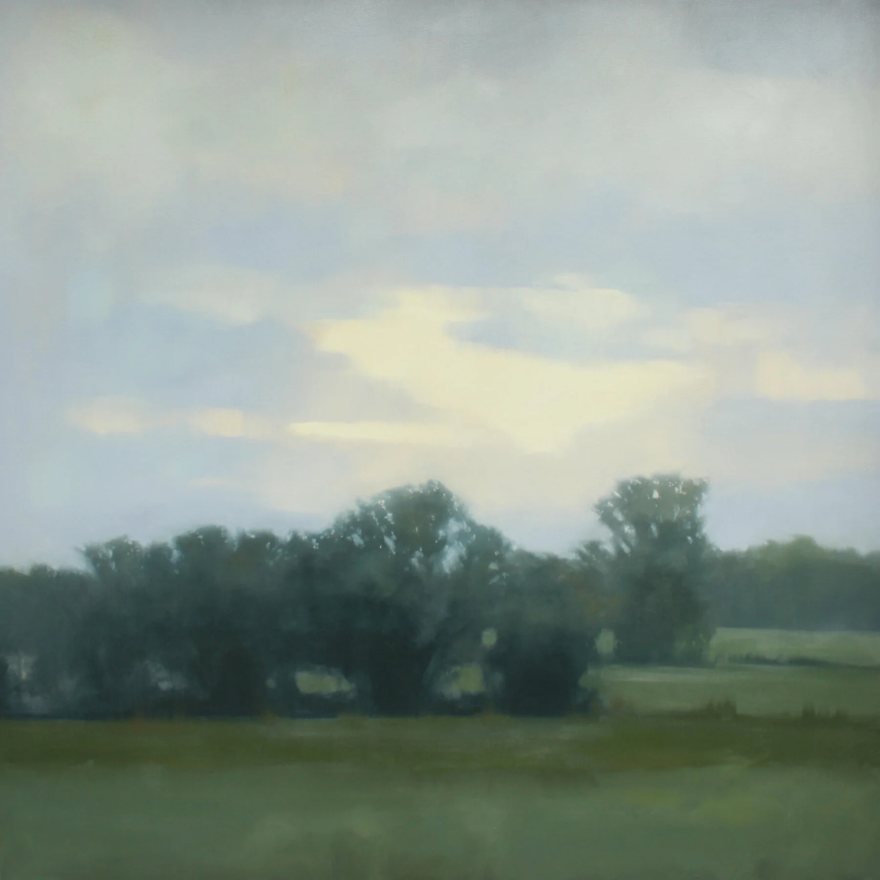 Early Summer, 48x48 inches