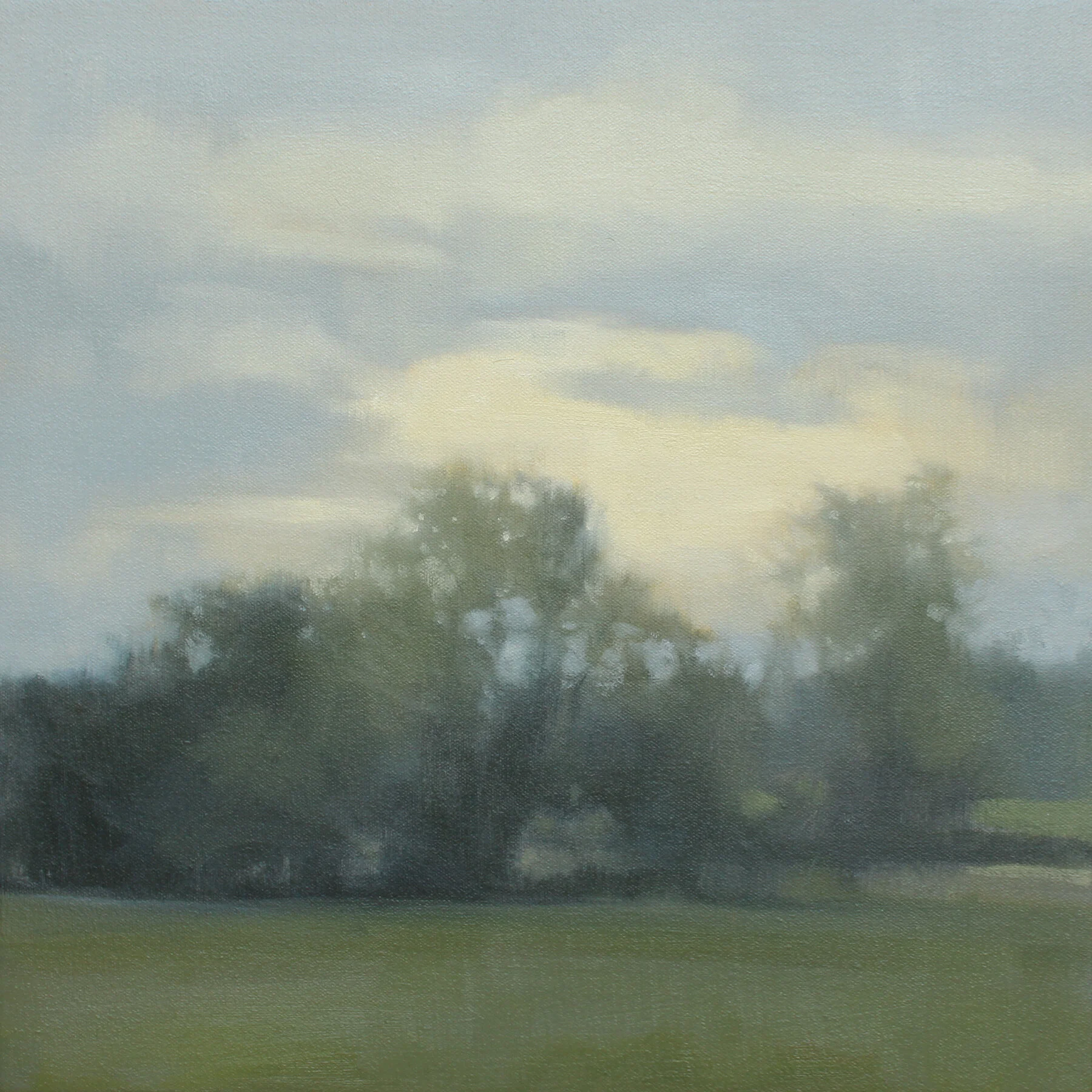 Early Summer (Study), 12x12 inches
