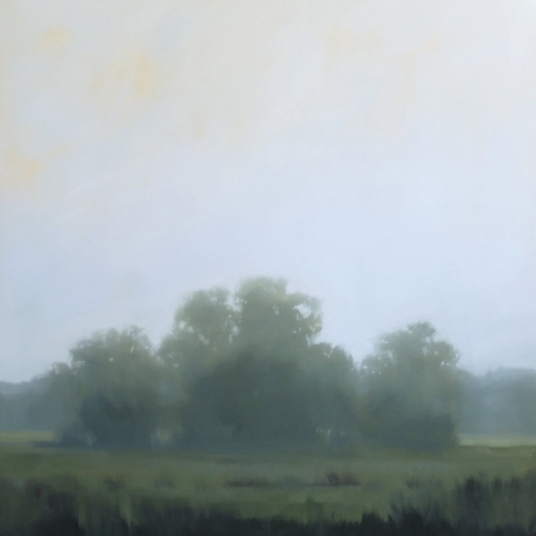 Field Mist, 36x36 inches