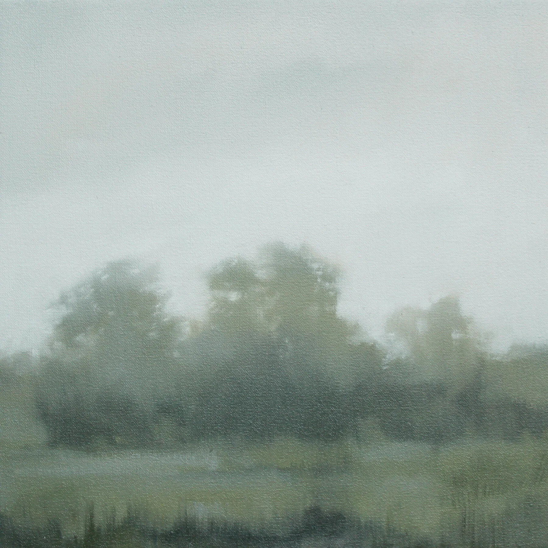 Field Mist (Study), 12x12 inches