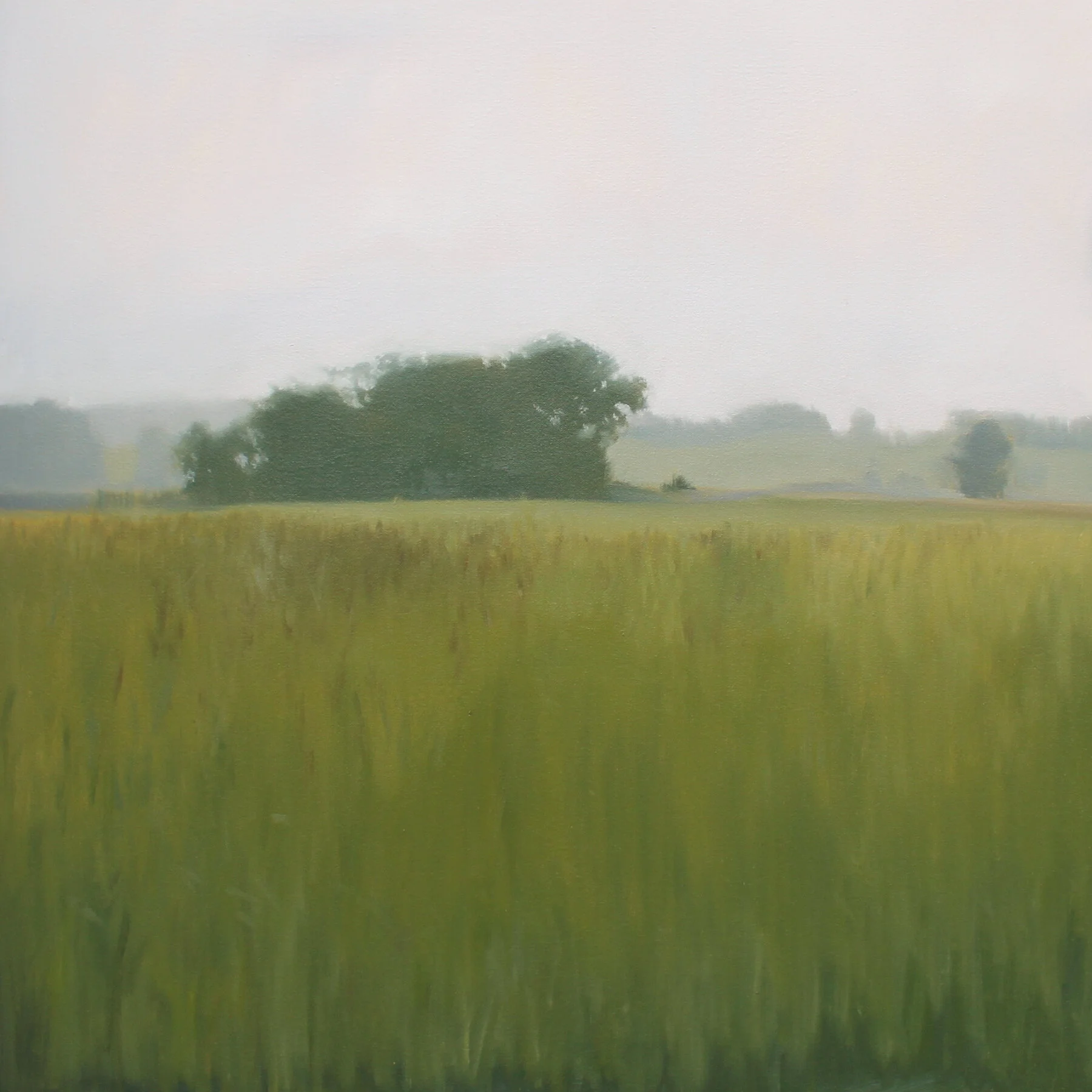 High Fields, 24x24 inches