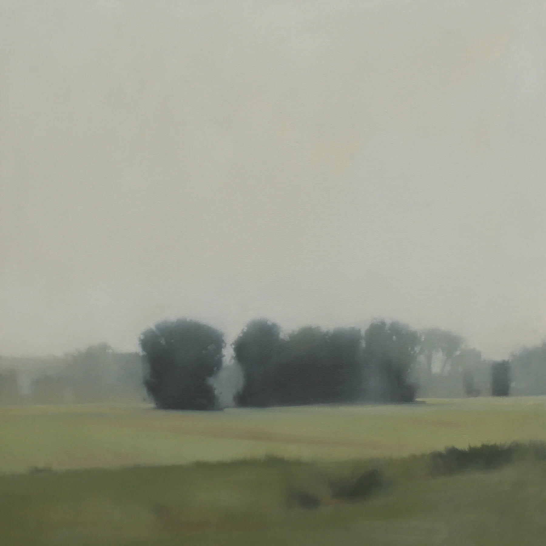 Summer Haze, 36x36 inches