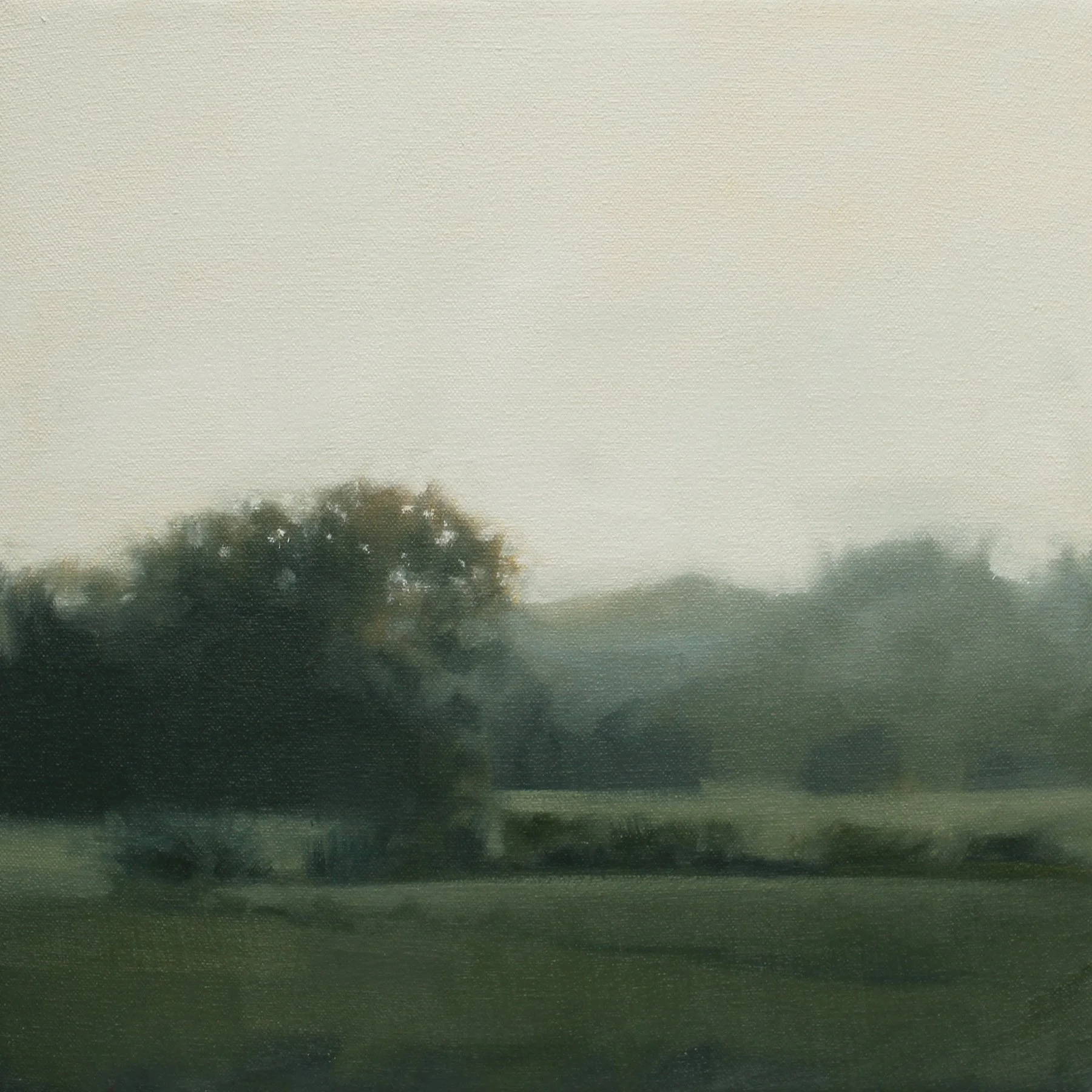 Morning Memory (Study), 12x12 inches