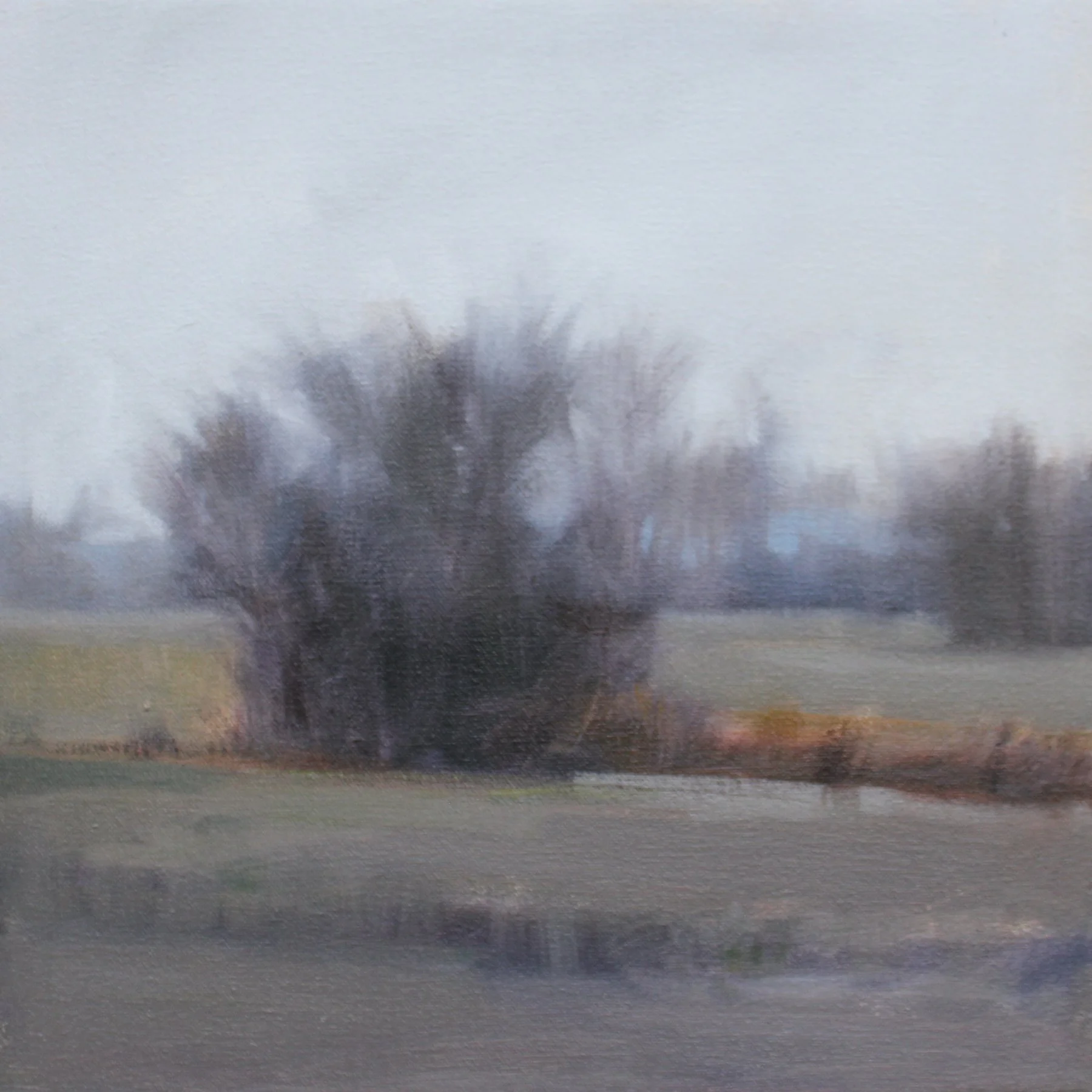 Cold Season (Study), 12x12 inches