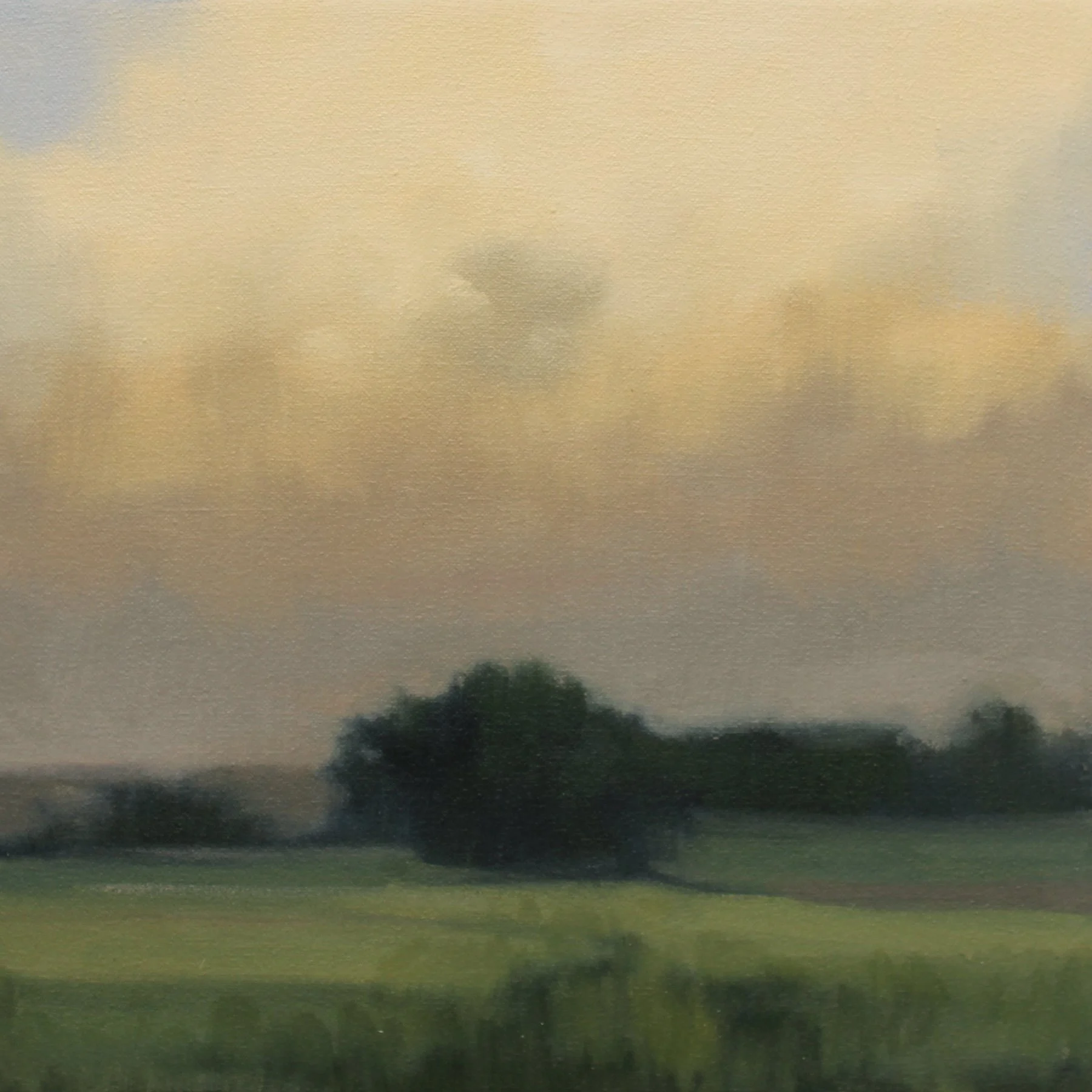 Final Glow (Study), 12x12 inches