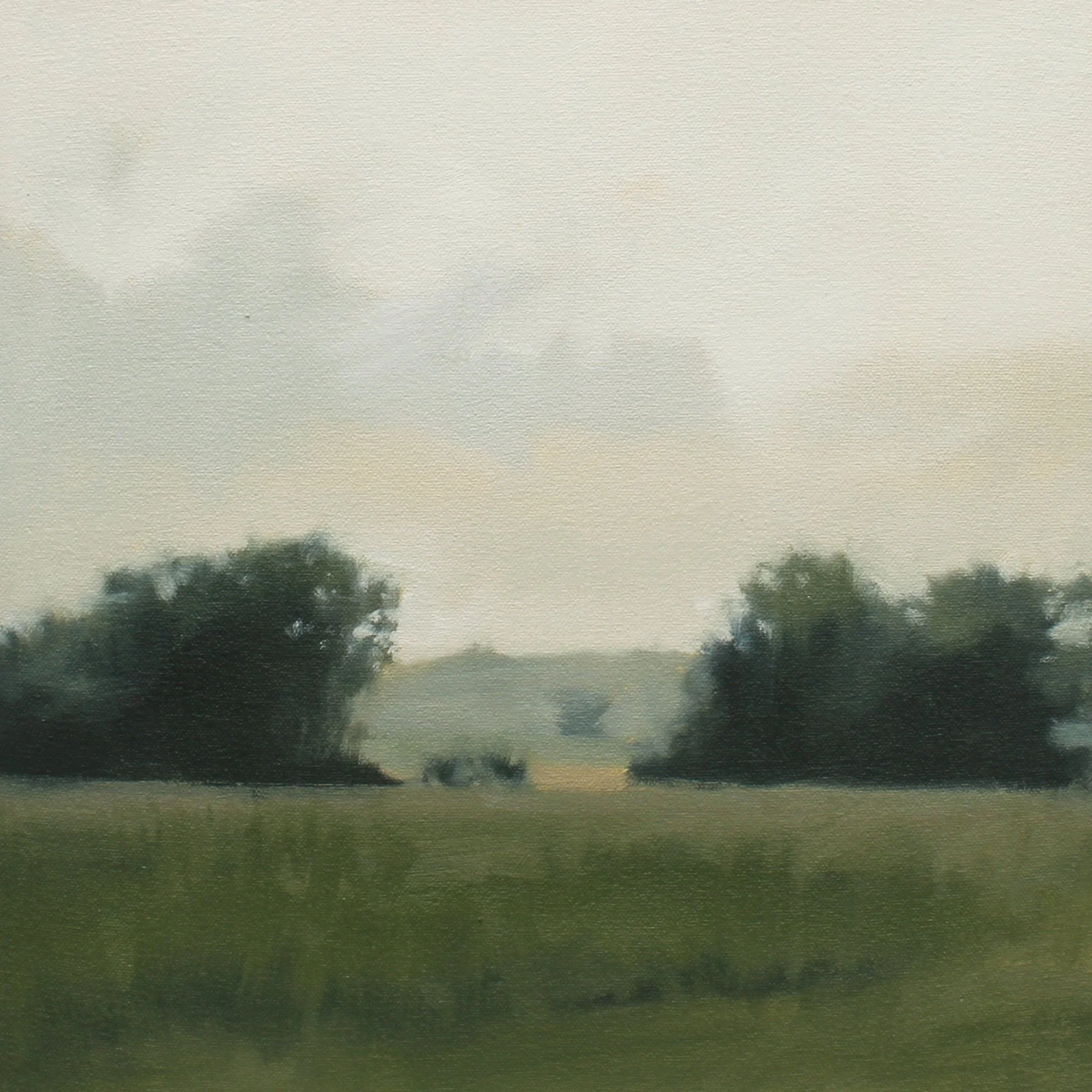 Field Opening (Study), 12x12 inches