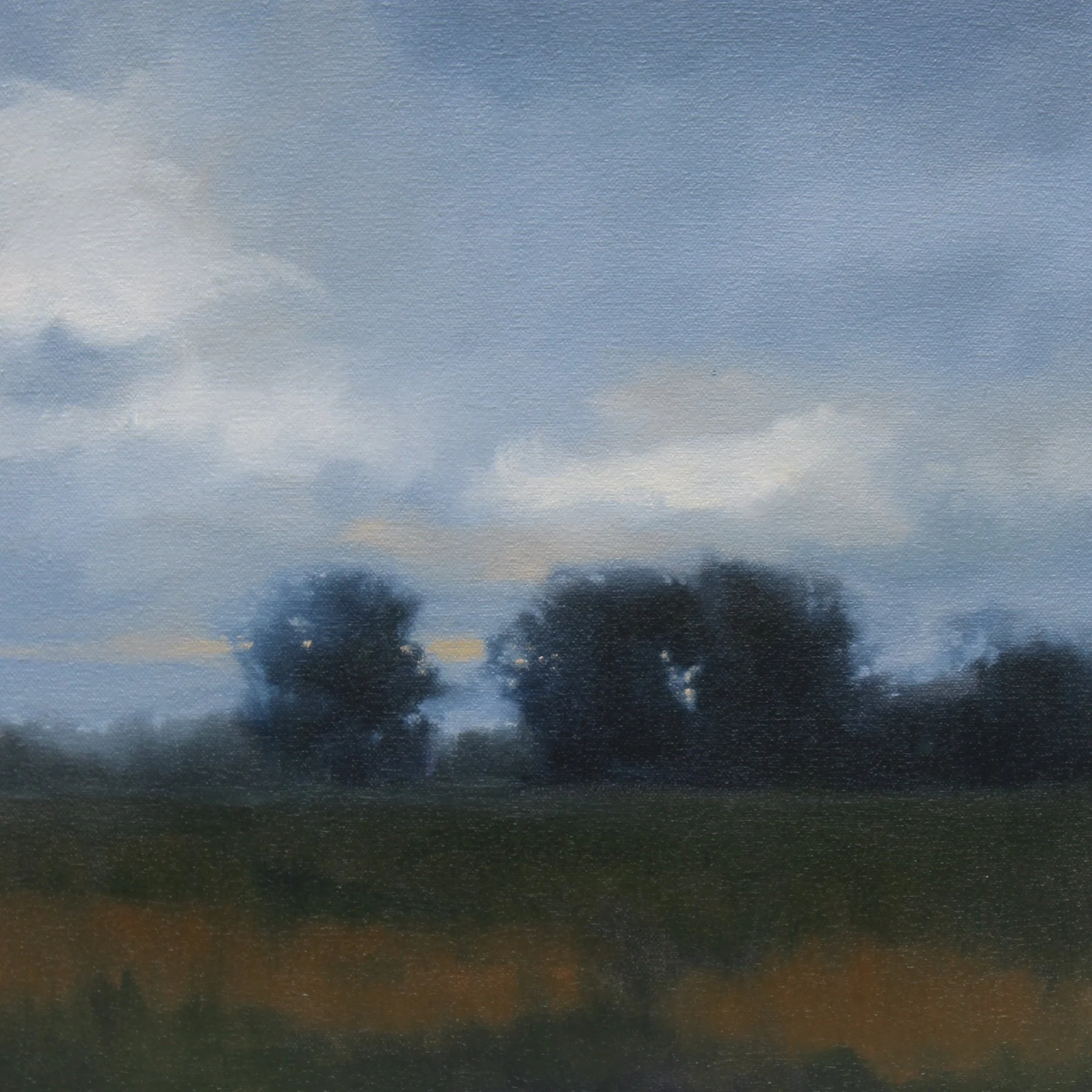 Warm Field (Study), 12x12 inches 