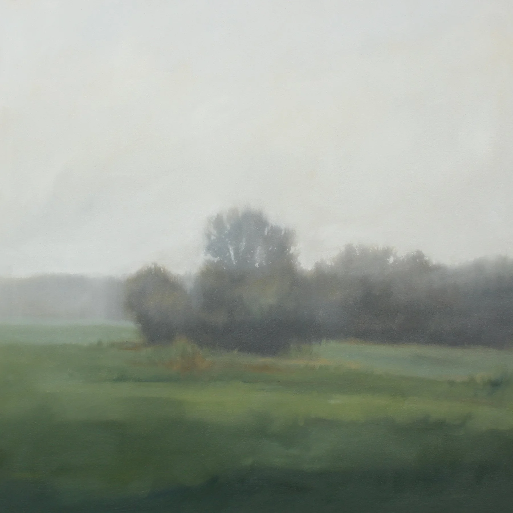Misty Meadows, 36x36 inches