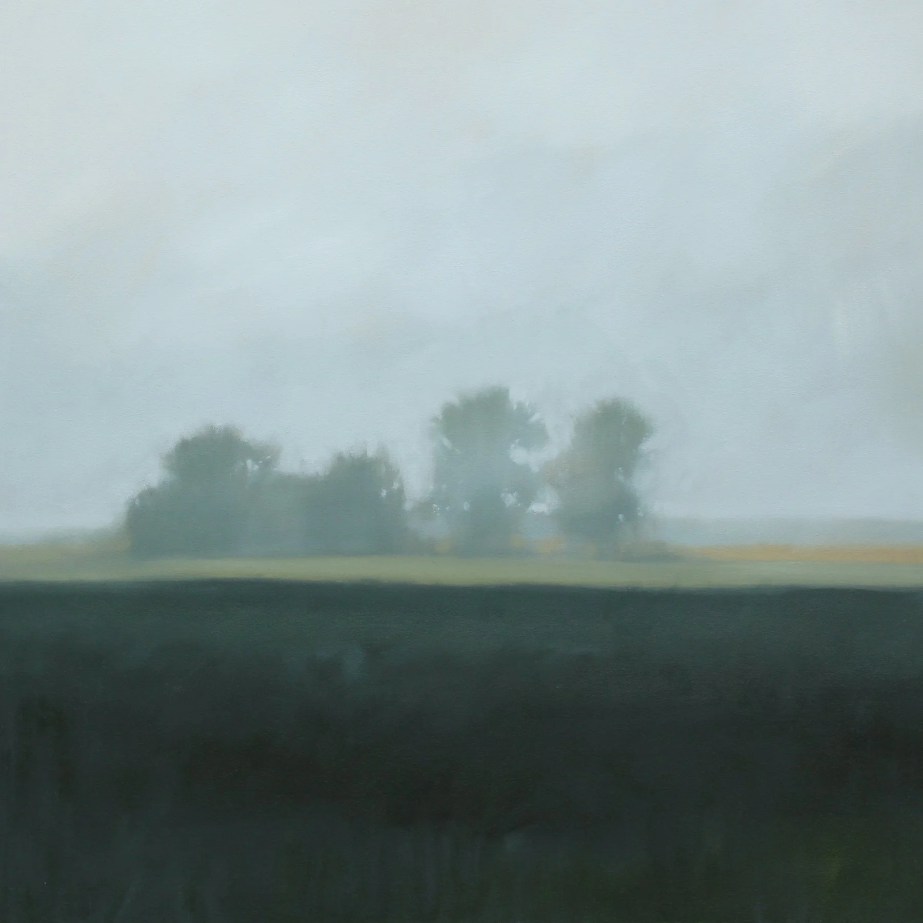 Dark Fields, 30x30 inches