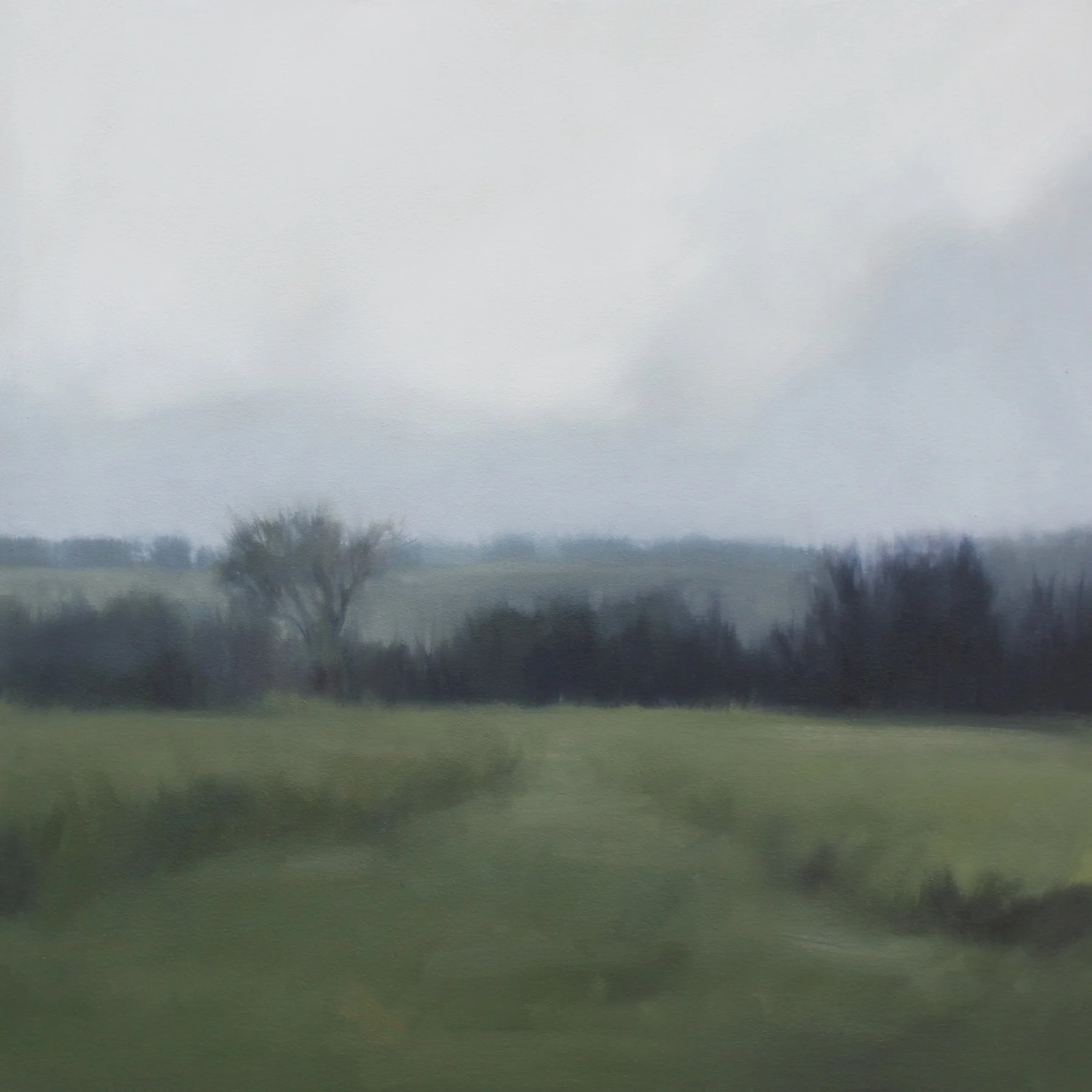 Deep Meadow, 24x24 inches