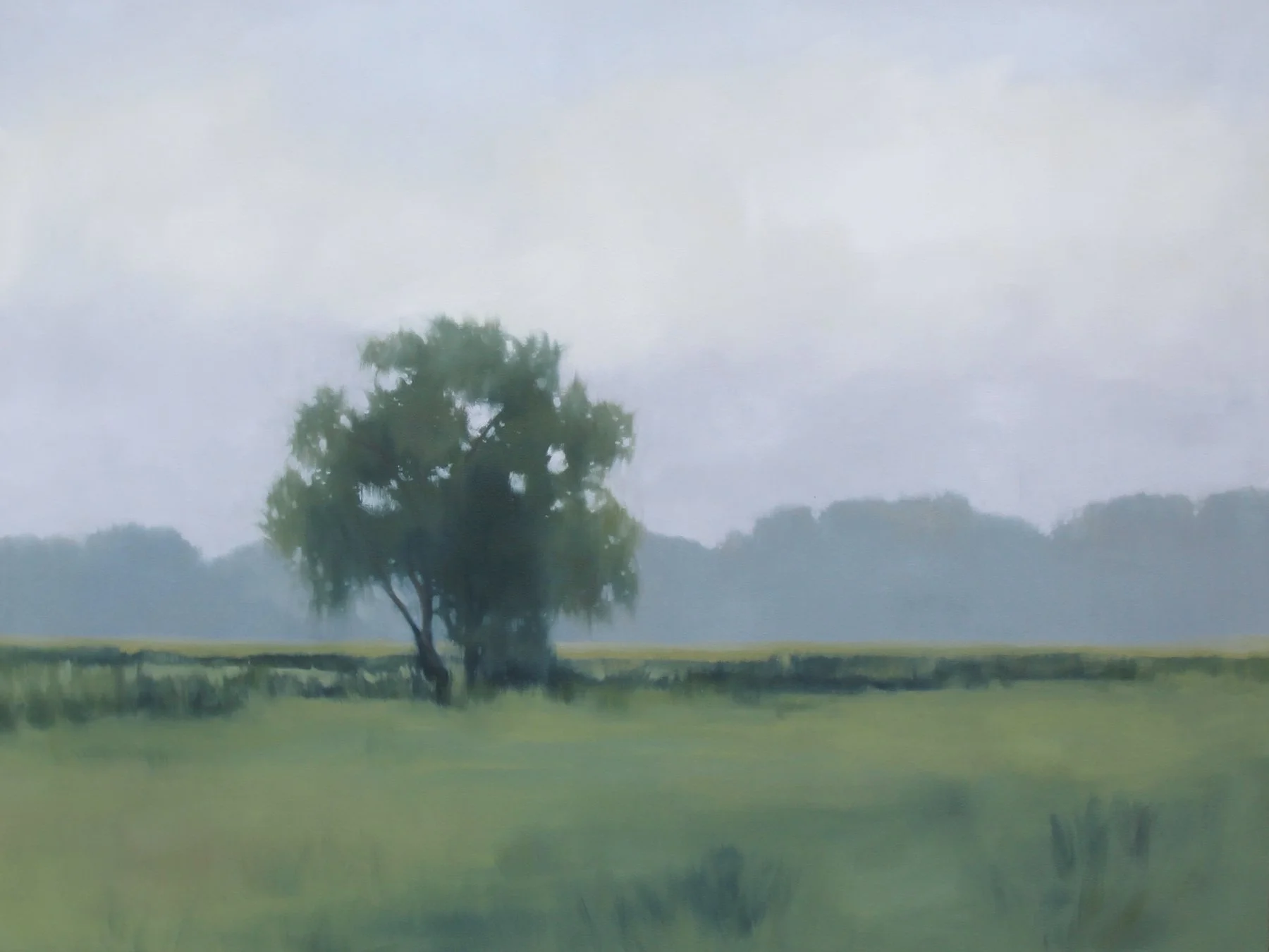 Lonely Marsh, 36x48 inches