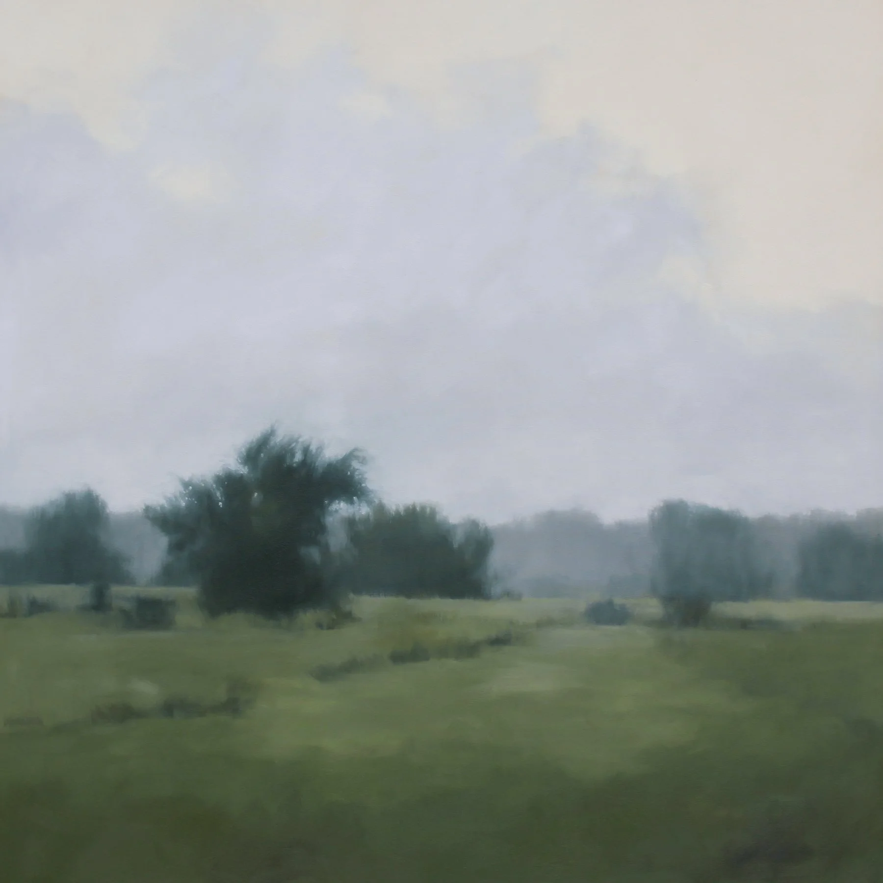 Windy Fields, 48x48 inches