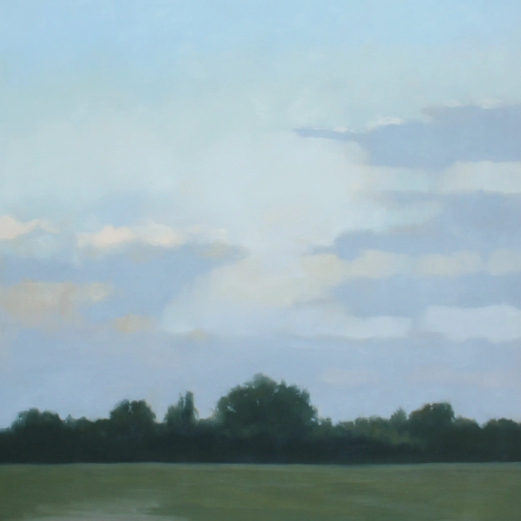 Afternoon Field, 48x48 inches