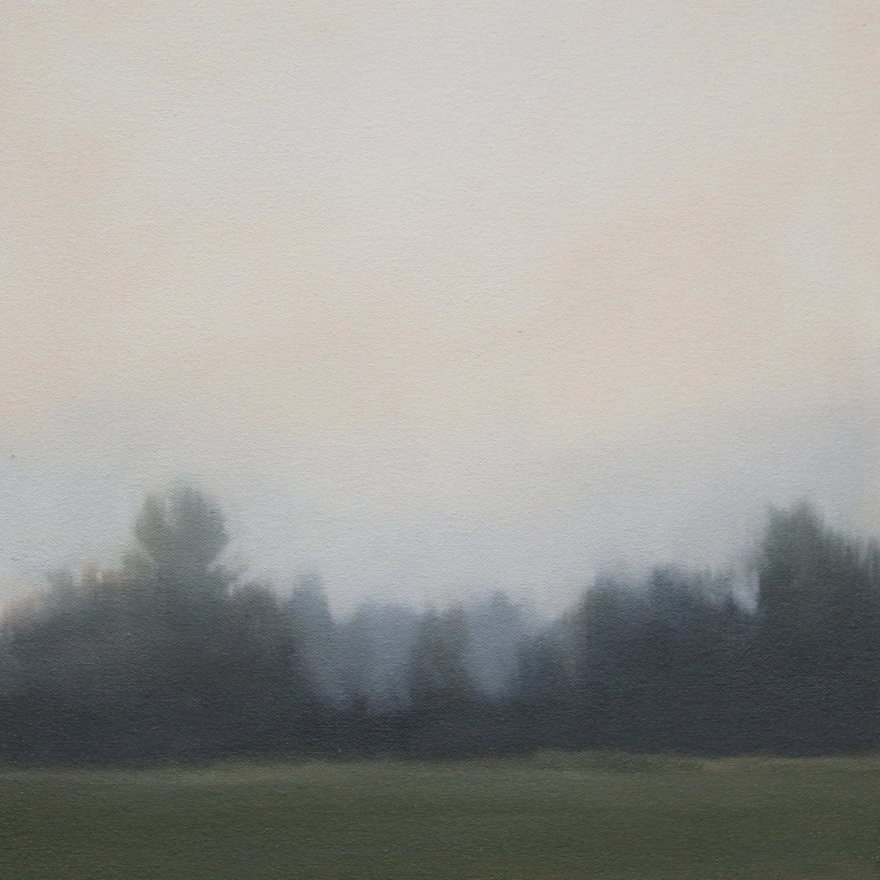 Meadow Fog (Study), 12x12 inches