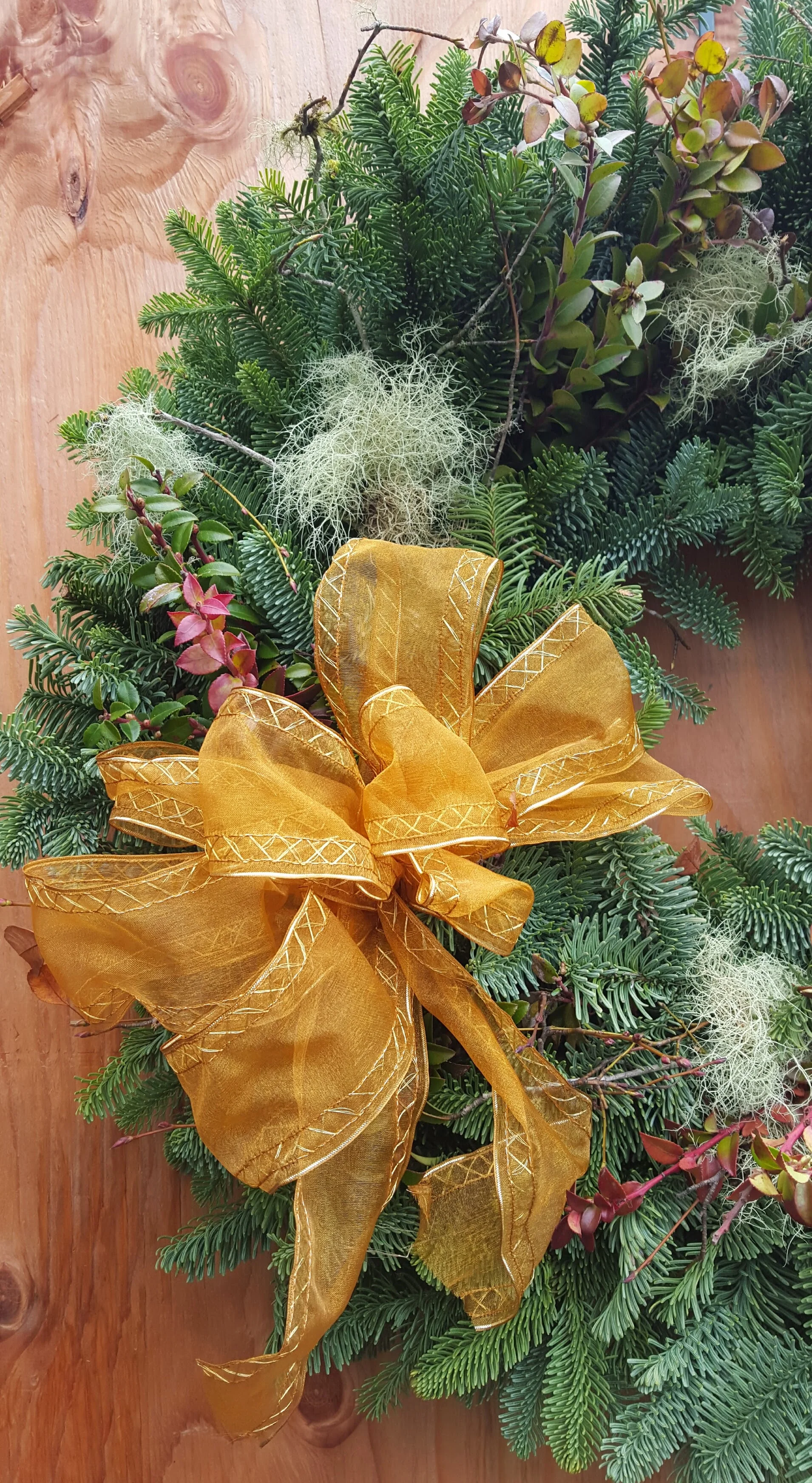 2015-12-02 12.32.34.jpg