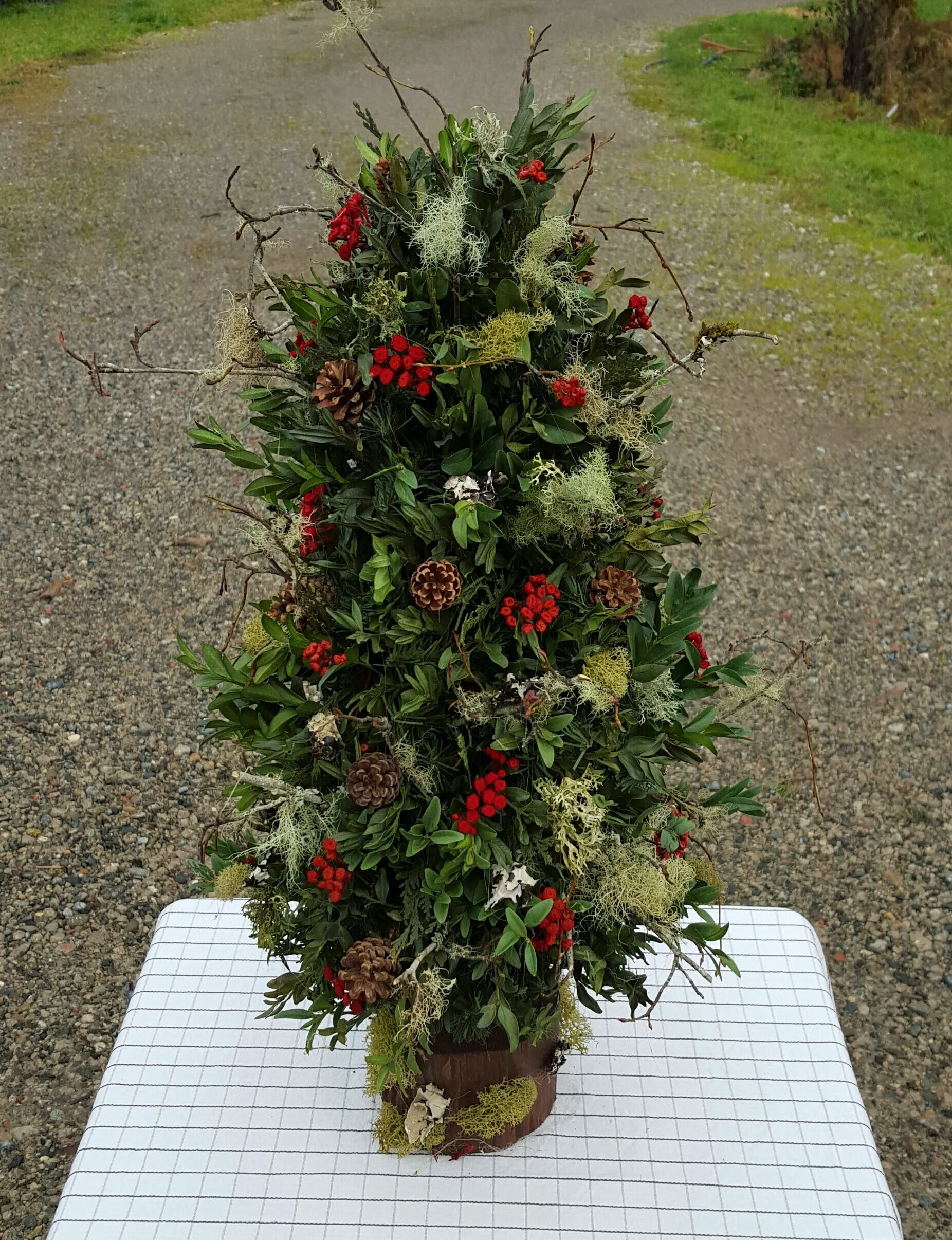 2015-12-02 12.40.54.jpg