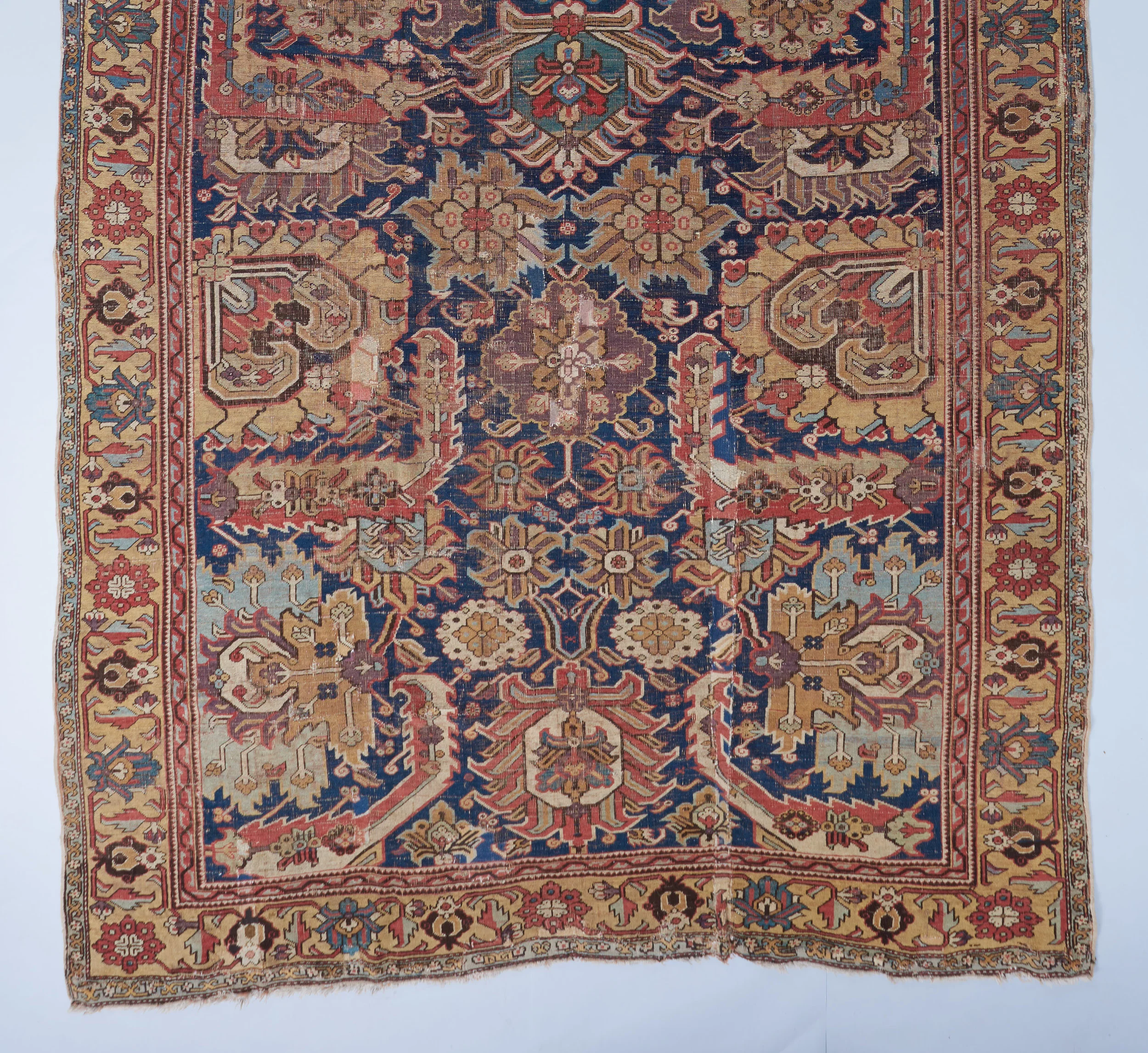 Caucasian blossom carpet (3).jpg
