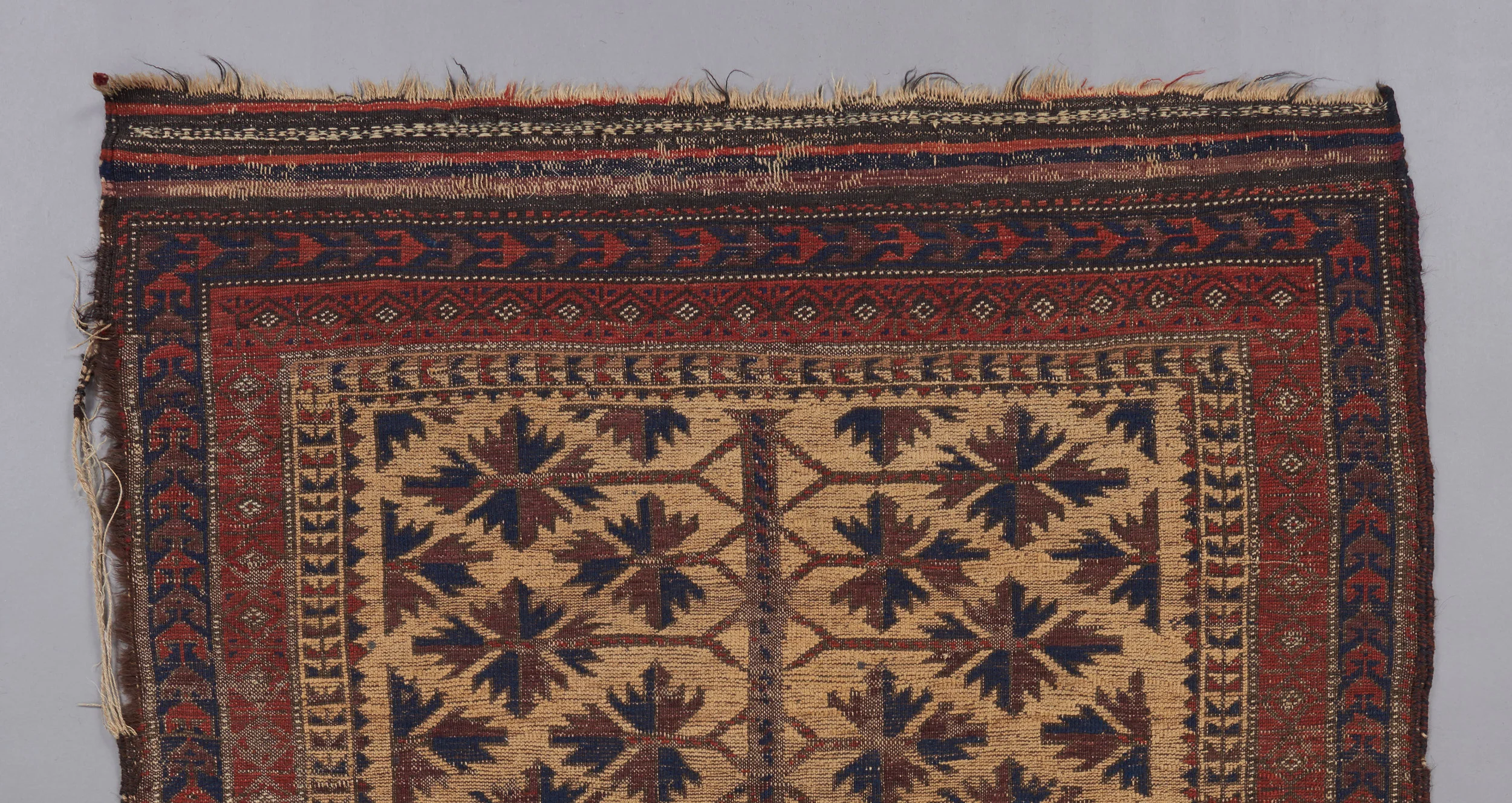 baluch 1229 4'8%22 x 3' 4.jpg