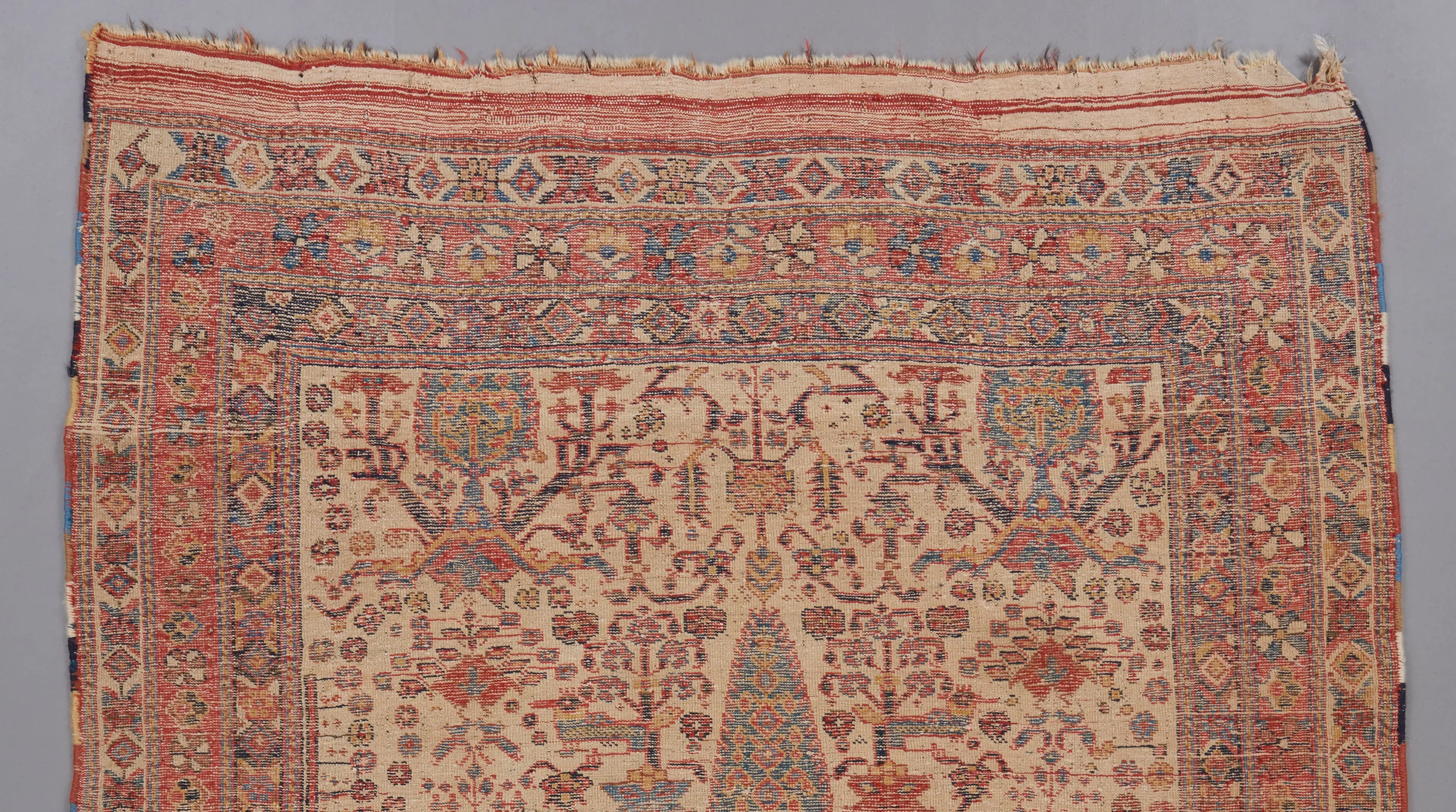 Afshar 1266 4'11%22 x 4'2%22 4.jpg