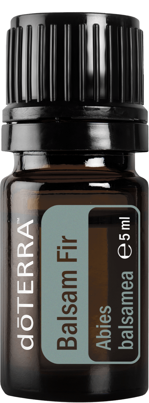 doTerra Balsam Fir