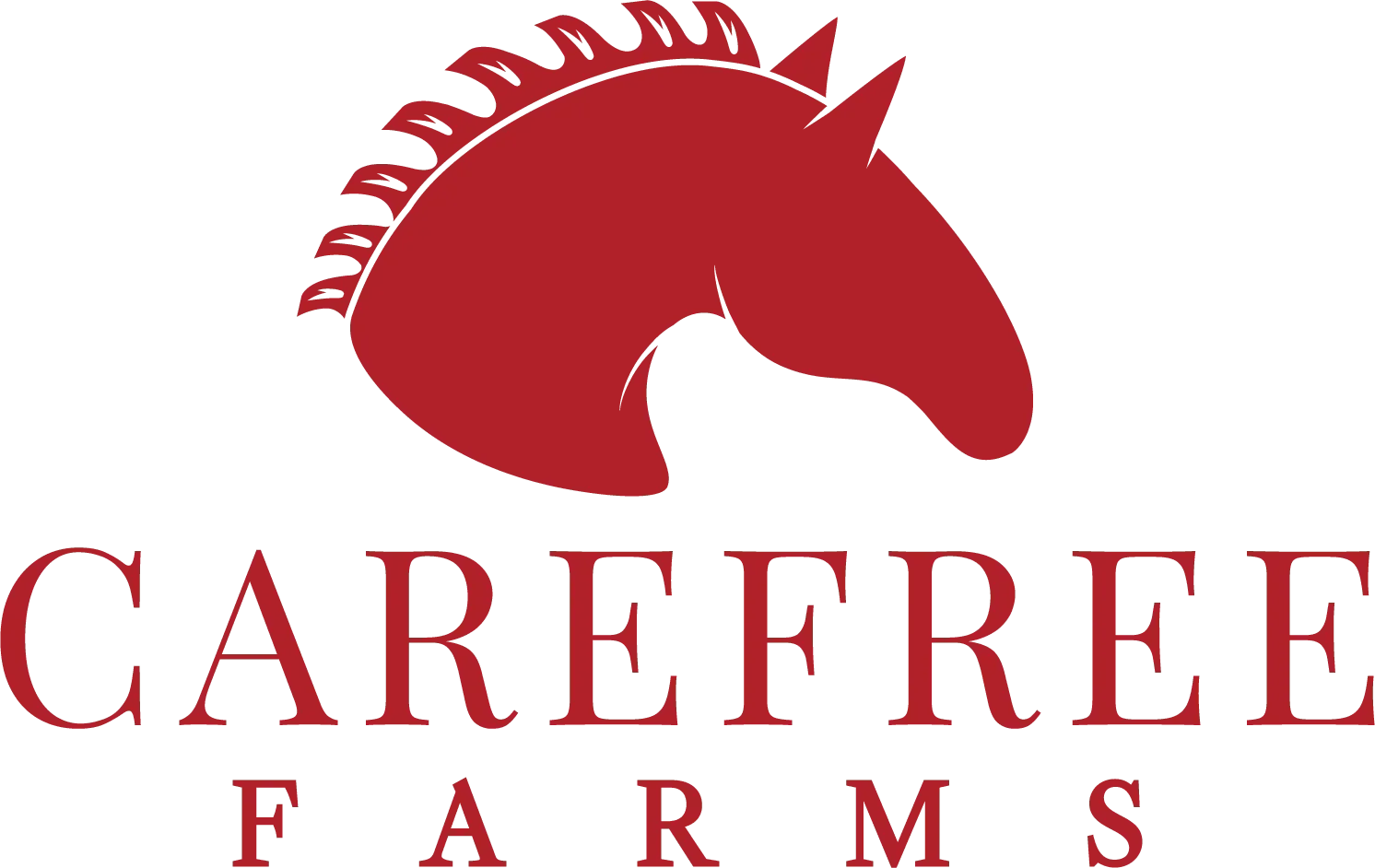 DSH Jumper Schooling/Derby