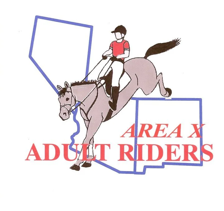Adult Rider Program 2 Day Jump Clinic