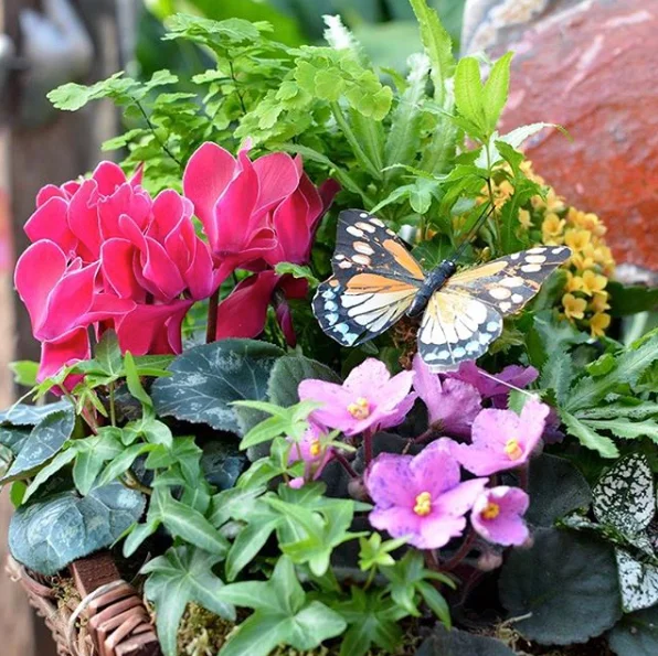 springlivingbasket.jpg
