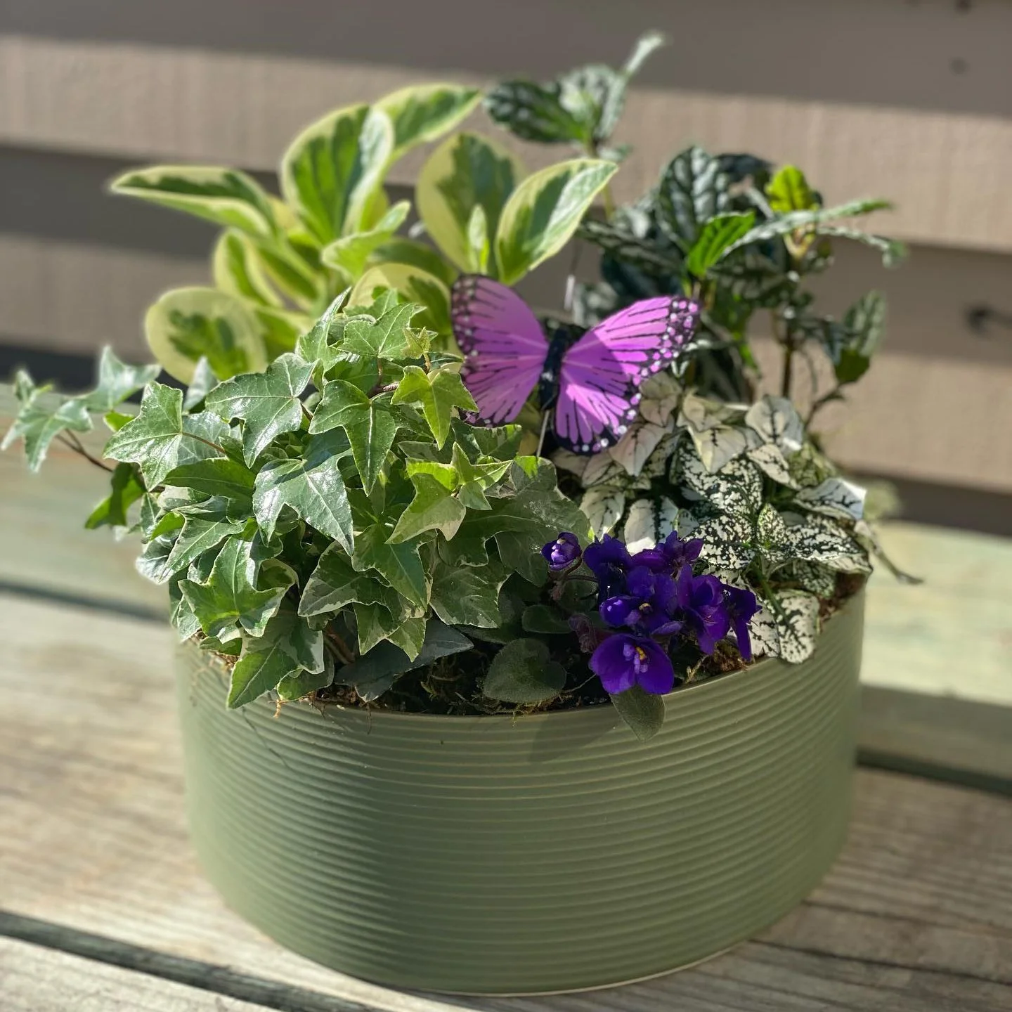 Blooming Dish Garden Workshop