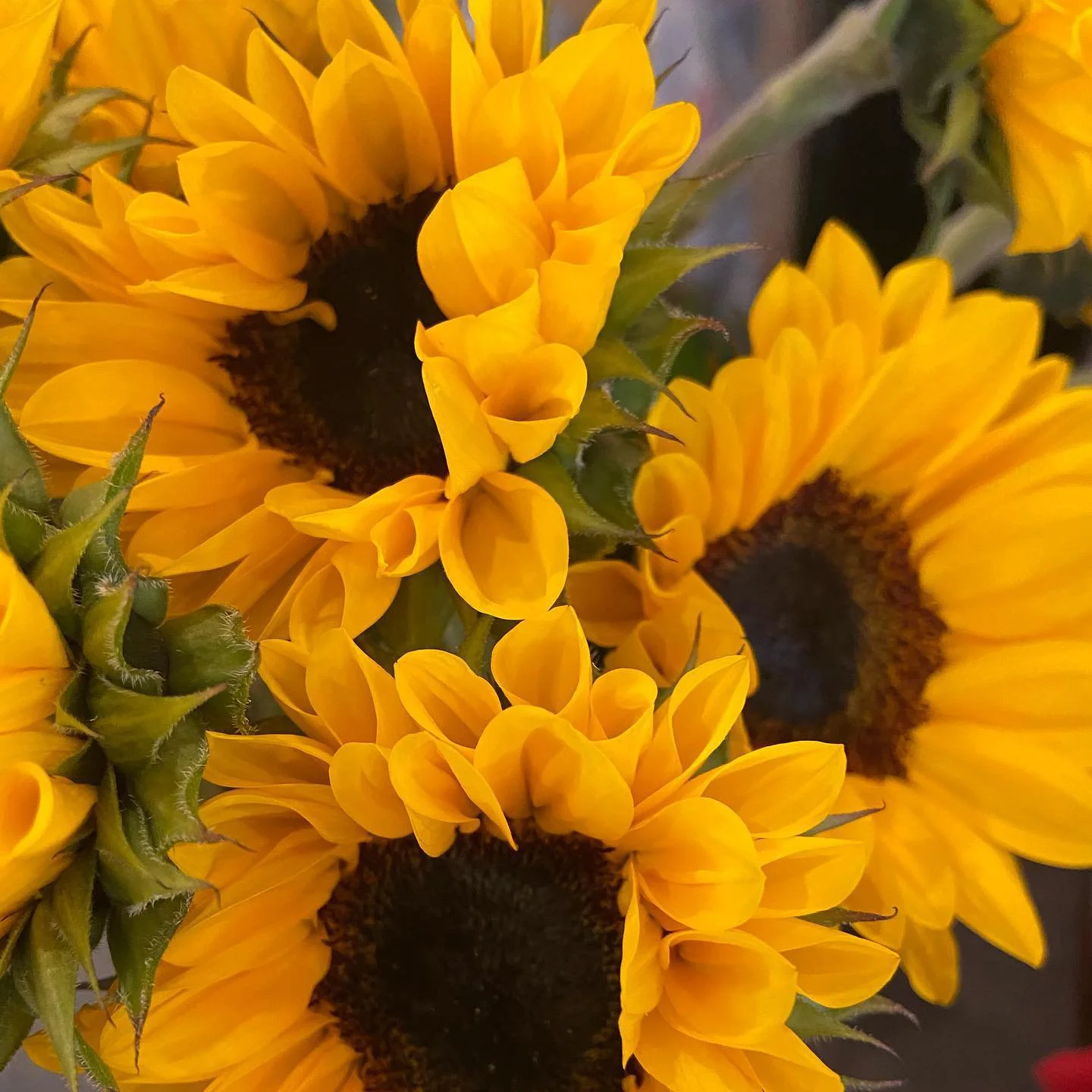 Floral Arrangement Workshop