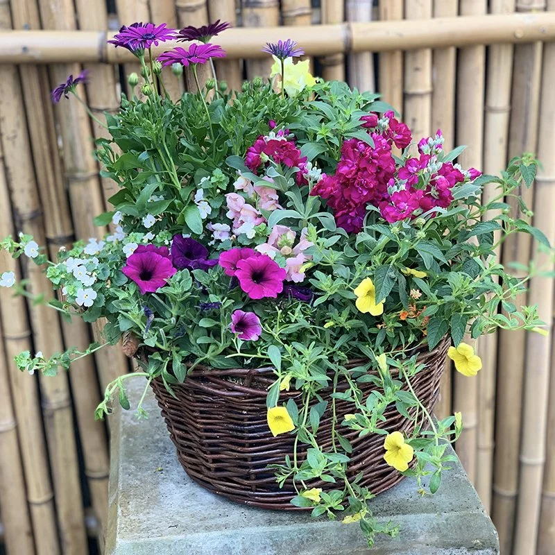 Blooming Basket Workshop