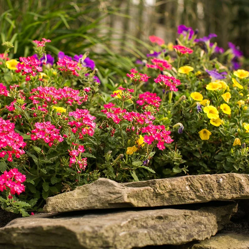 Time to Get Your Yard Ready for Summer!