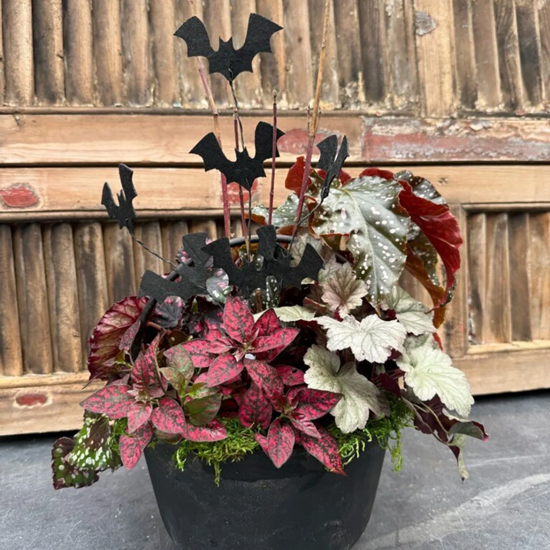 Fall Planter Witch themed