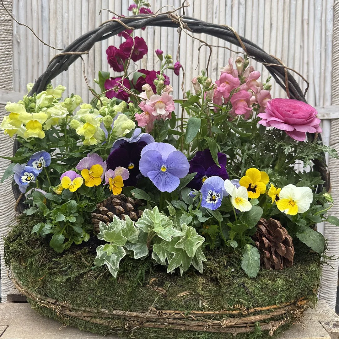 Spring Blooming Basket