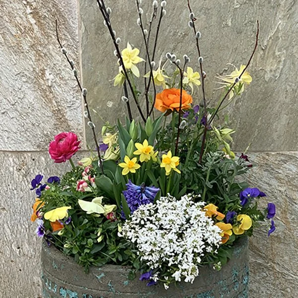 Spring Potting Workshop