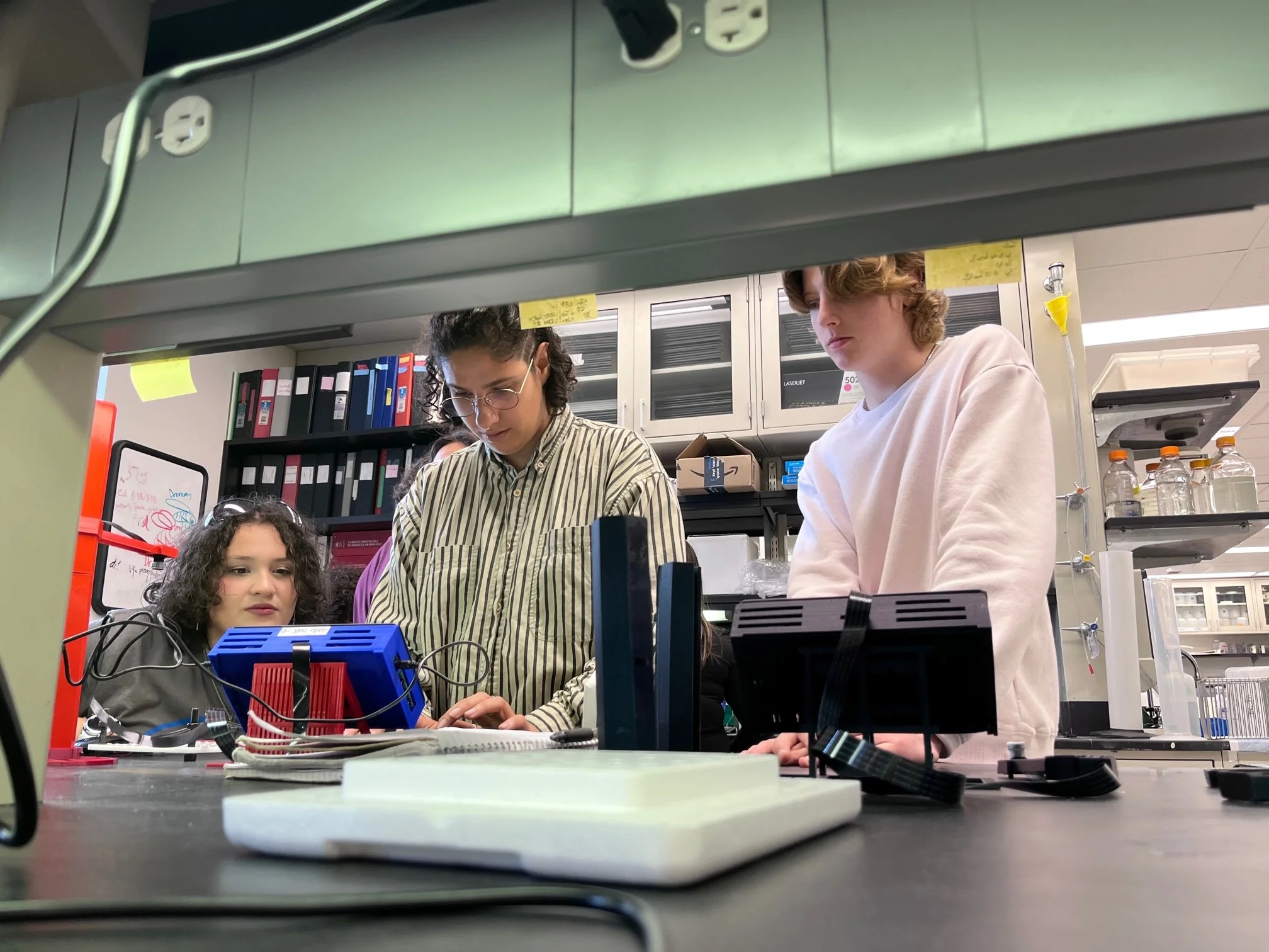 Copy of IMG_2641.jpg