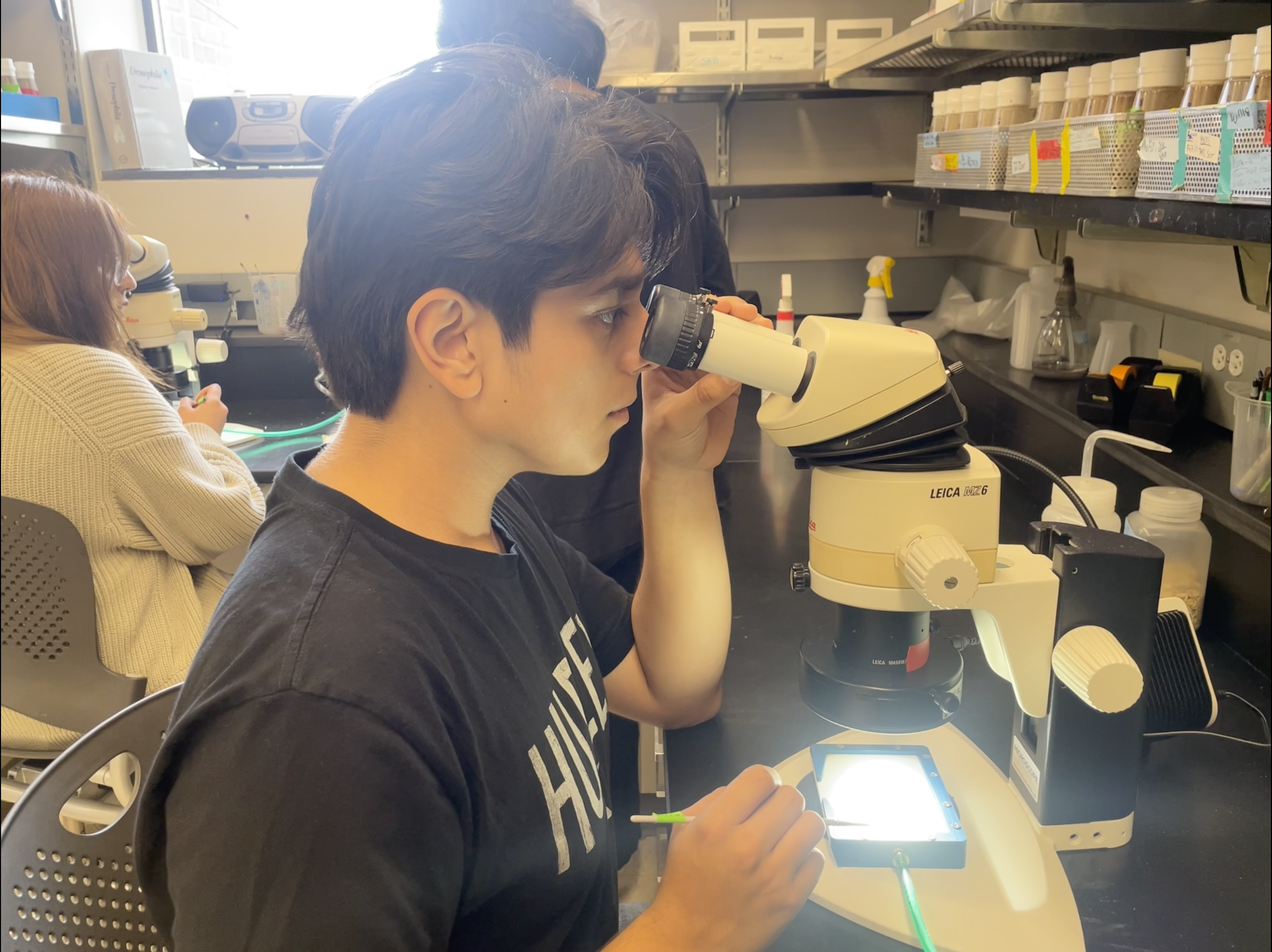 Screenshot 2026-01-12 at 10.48.29 AM.png