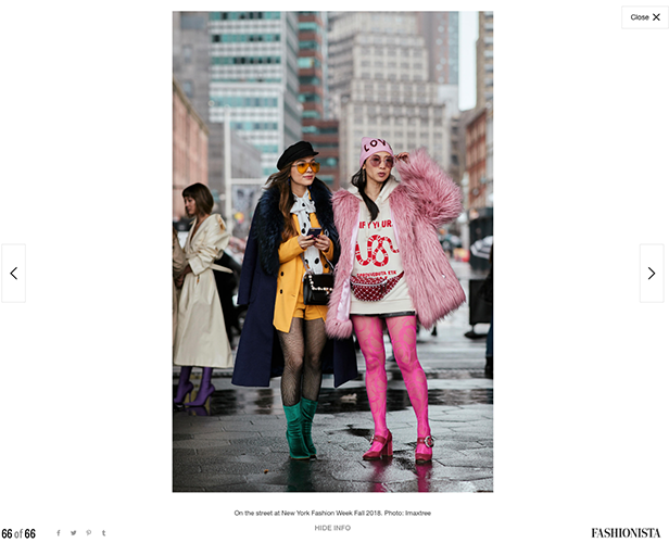 Petite Flower Presents NYFW FW18 Street Style Fashionista .png