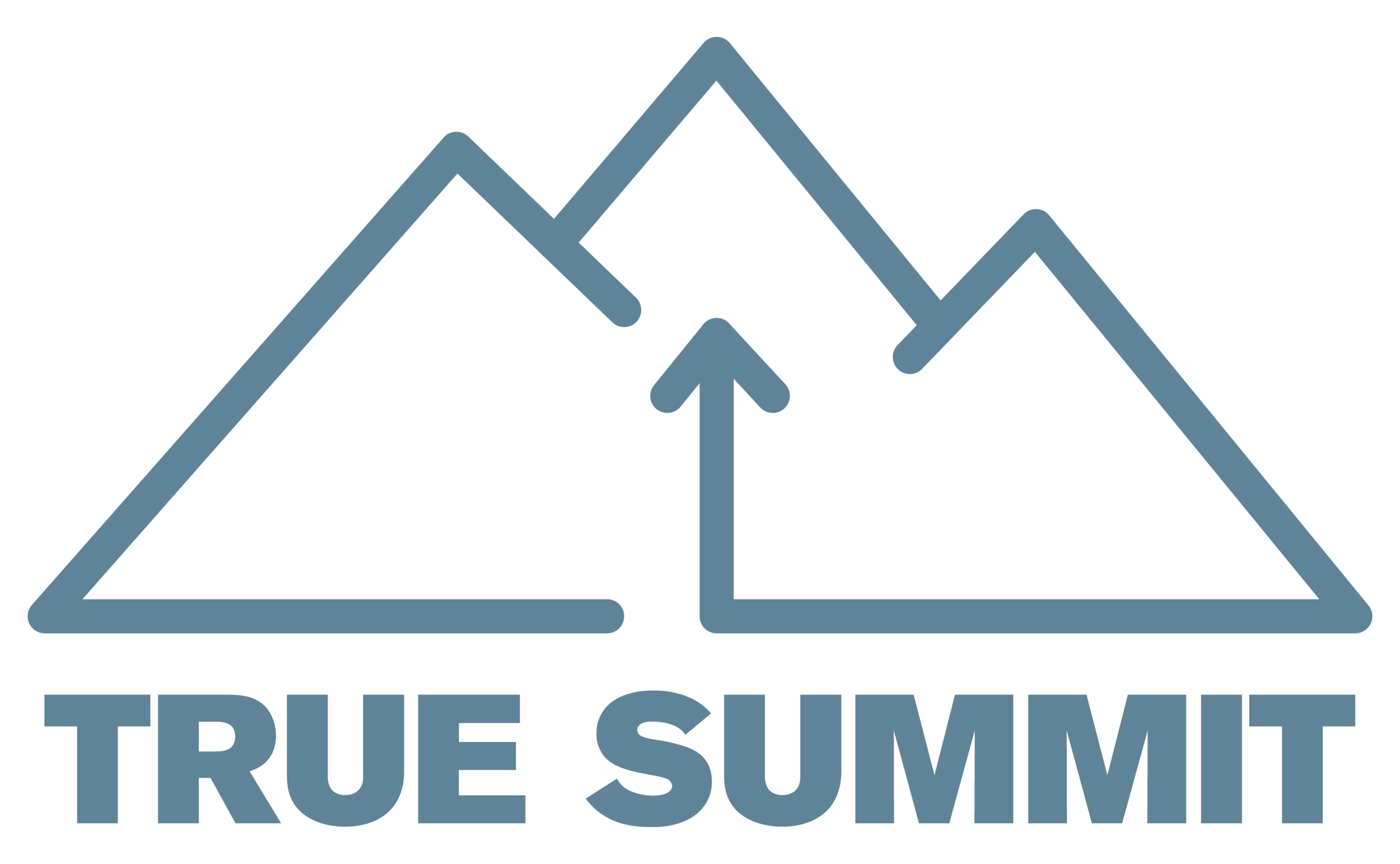 True Summit Investments