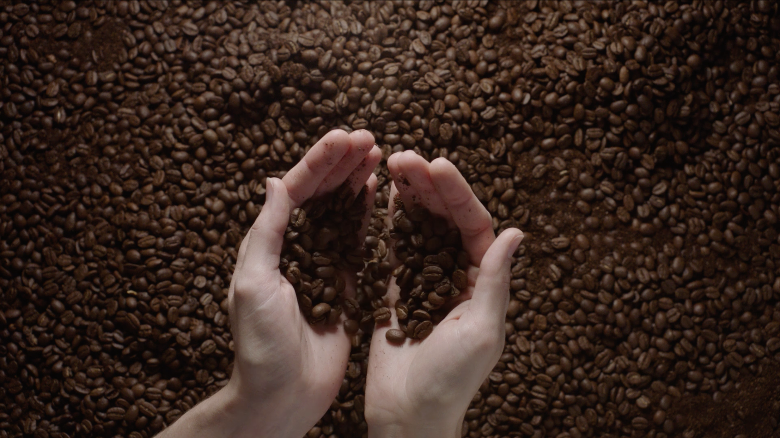 STUMPTOWN