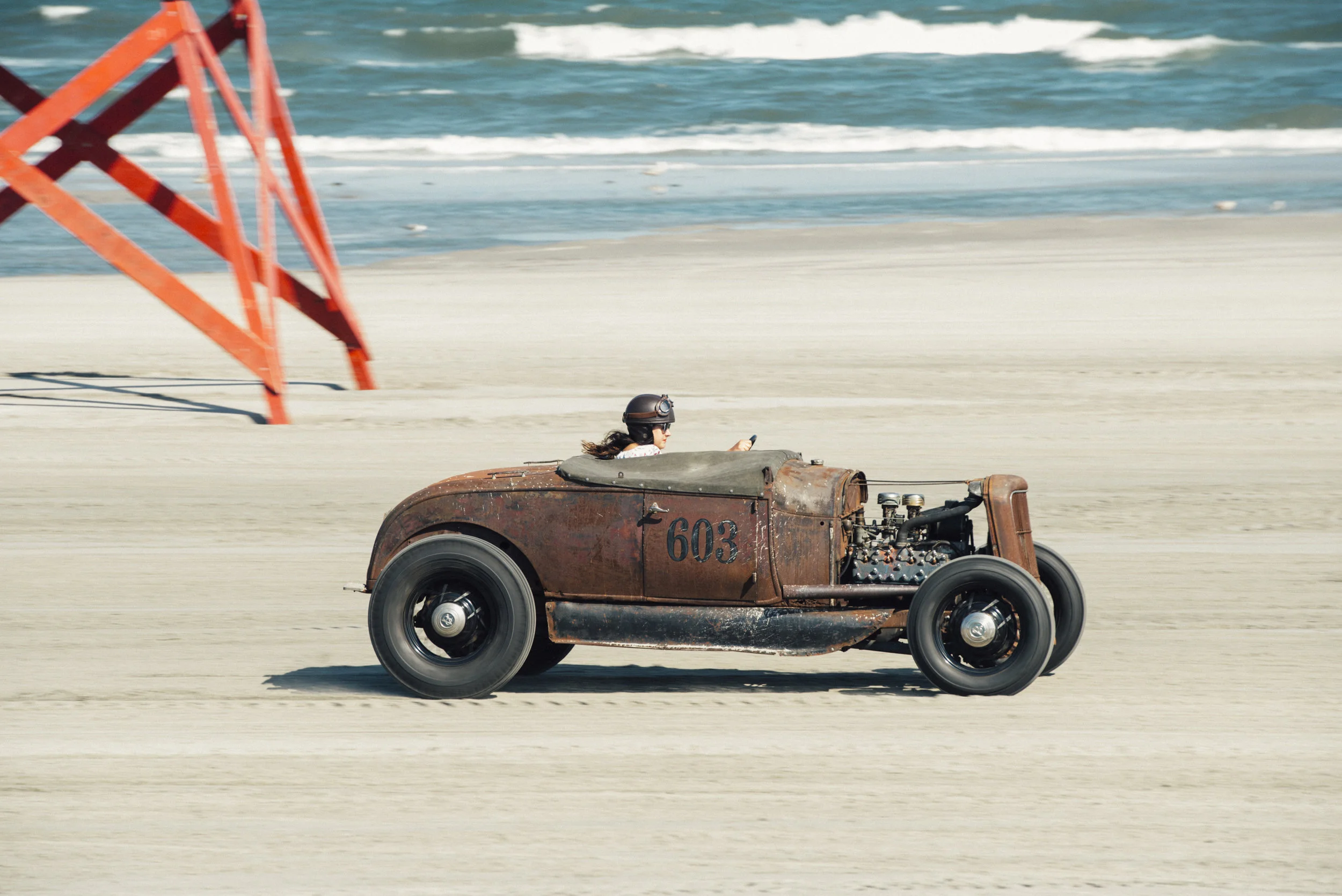 trog3341.jpg